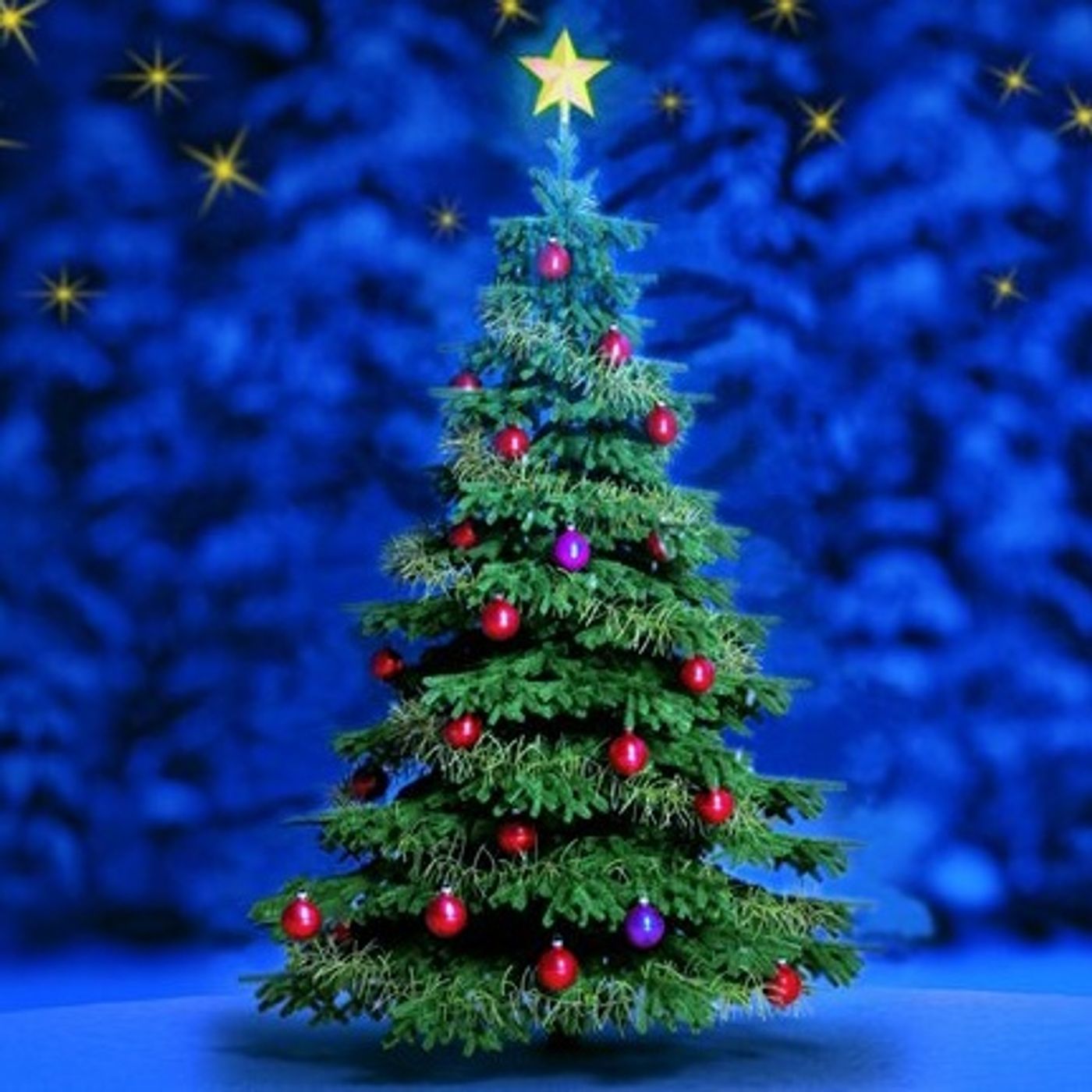 Christmas Programming