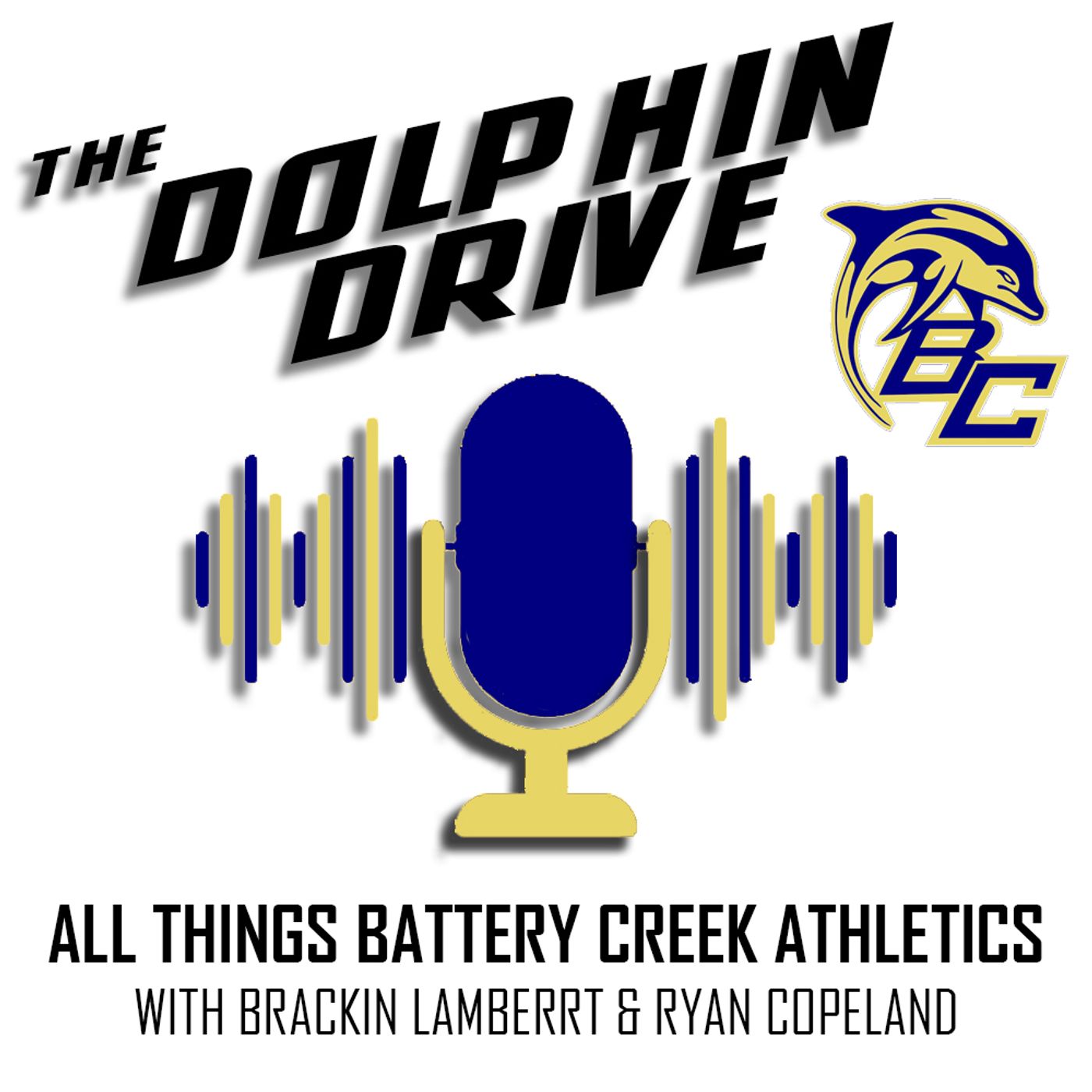 The Dolphin Drive