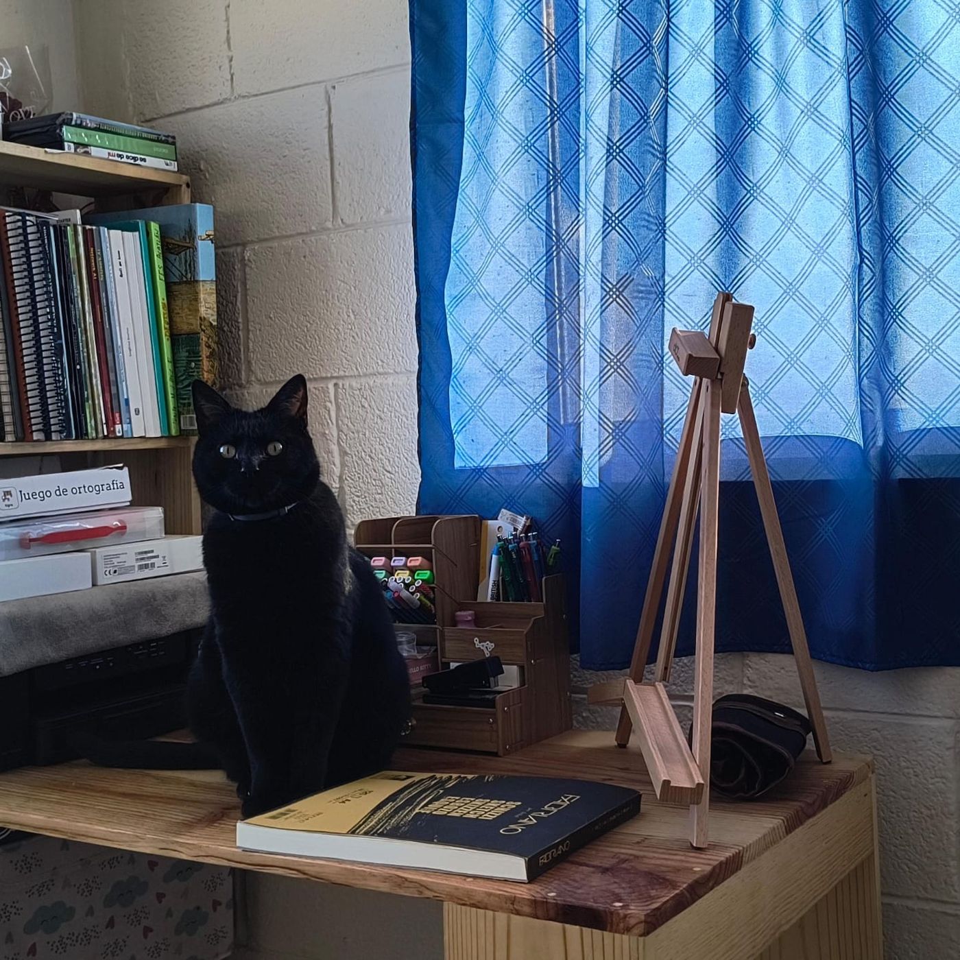 Español de México para No Oriundos cover art