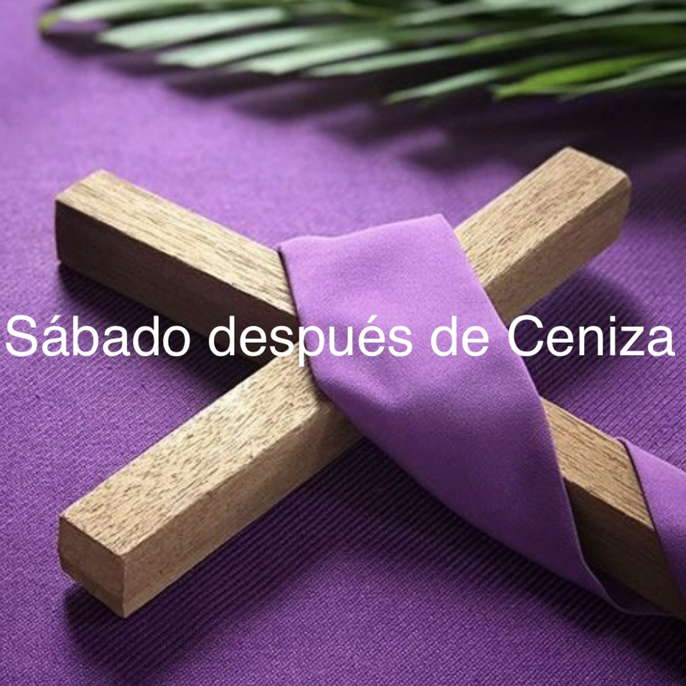 Sábado después de Ceniza. Los 7 santos fundadores de los siervos de María episode artwork