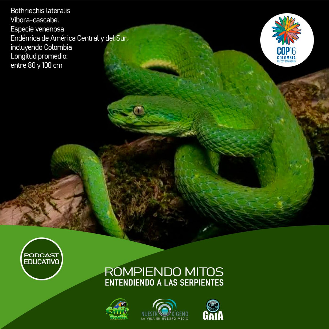 2024 Nuestro Oxigeno 09- Septiembre