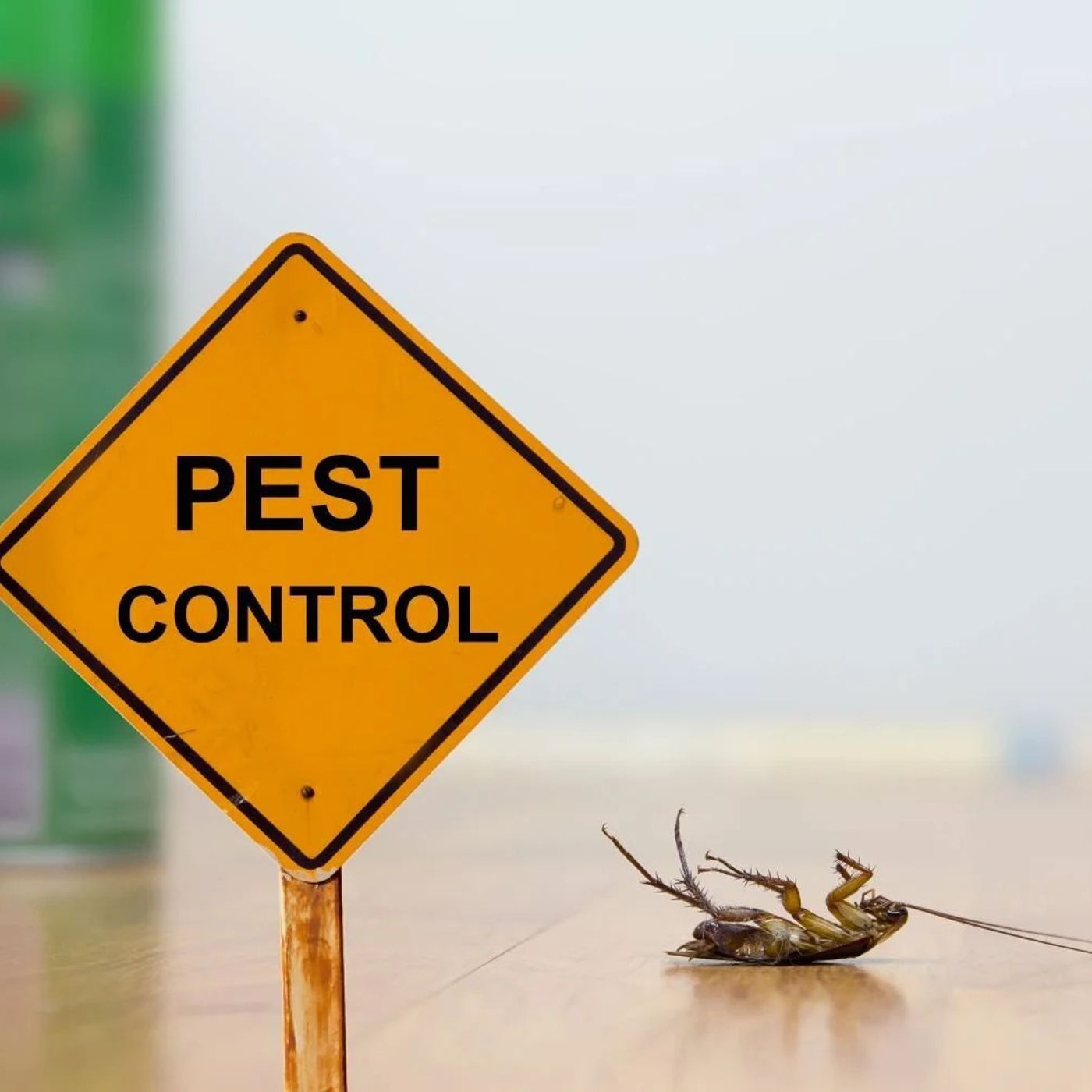 Professional Pest Management in Melbourn podcast artwork
