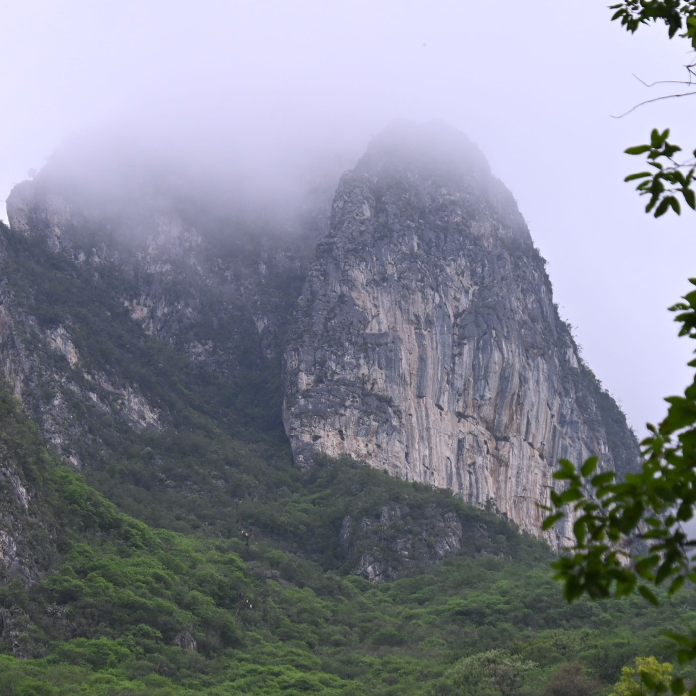 Culture and Plants in Nuevo León, Mexico : Carlos "Aztekium" Velasco — Crime Pays But Botany Doesn't cover
