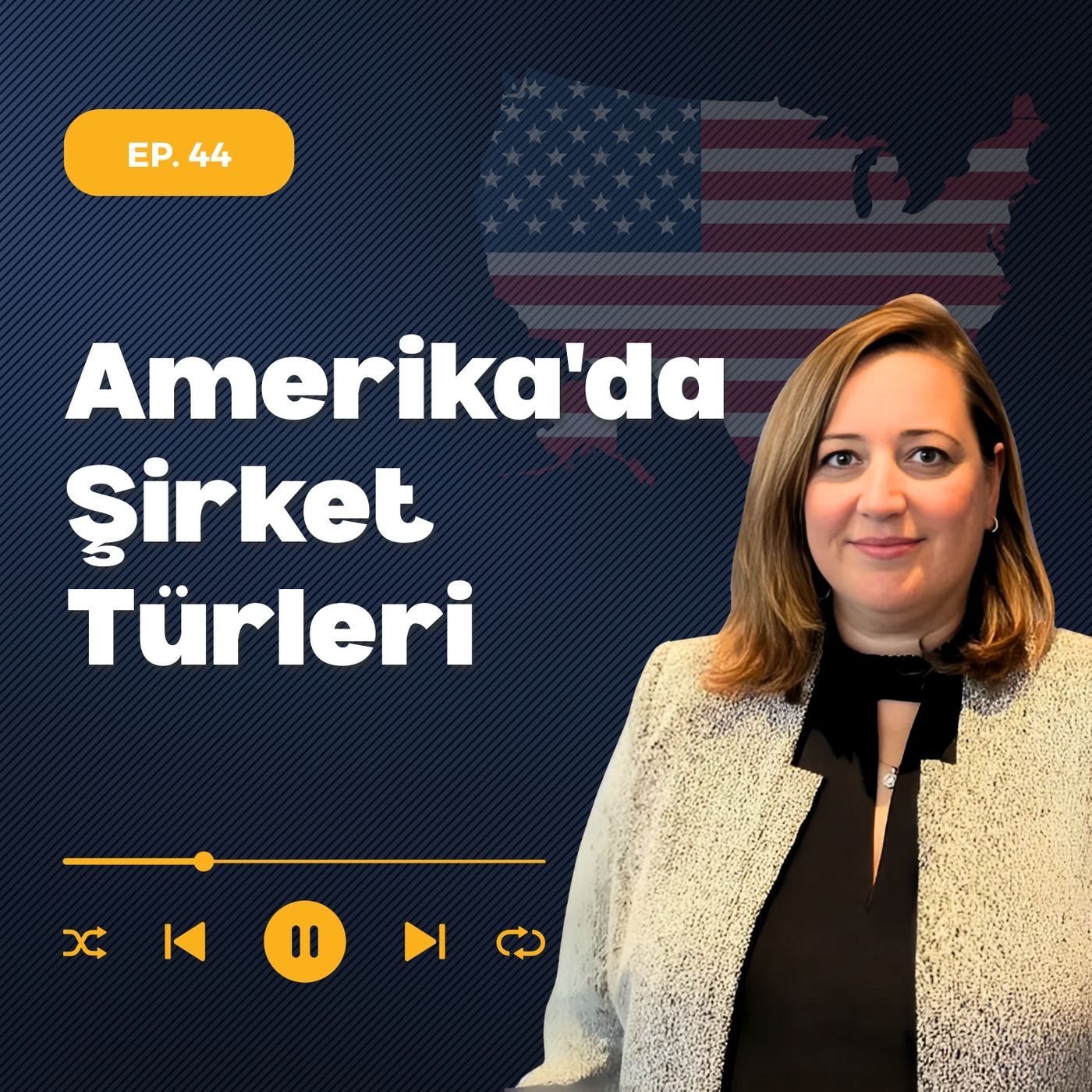 Amerika'da Şirket Türleri episode artwork