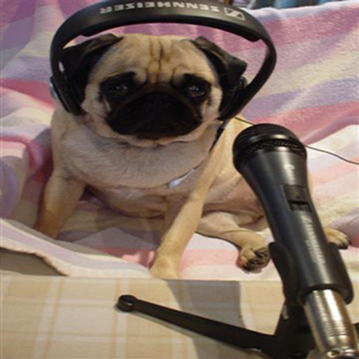 Аудиоверсия стрима(8,02,2019)