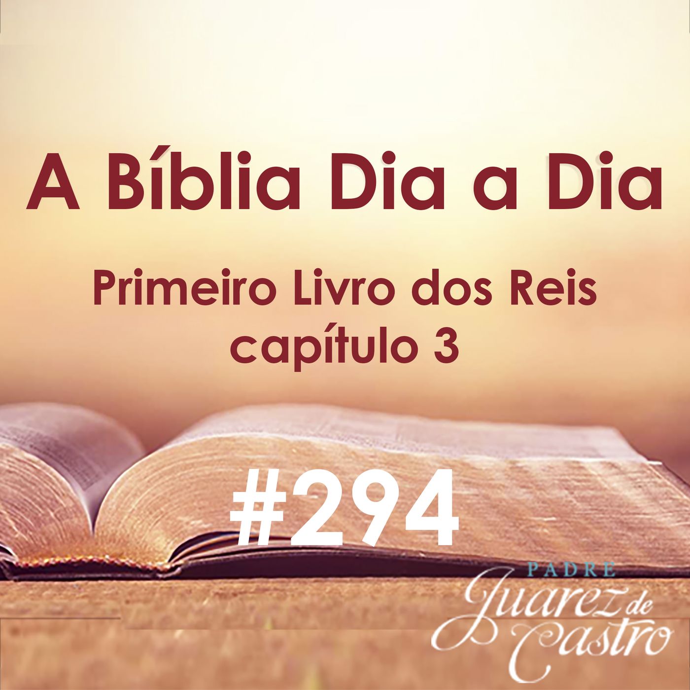Curso Bíblico Padre Juarez