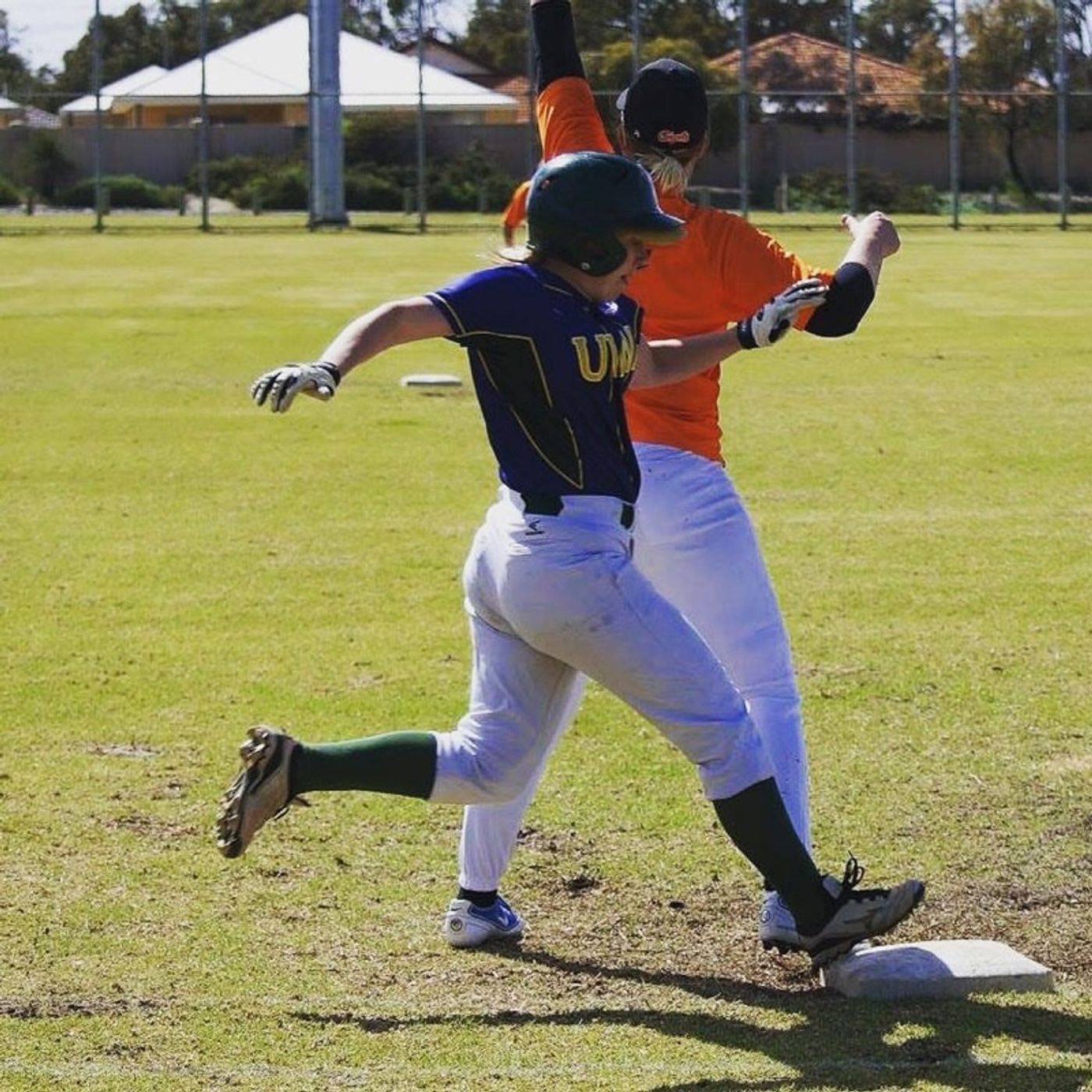 Ladywhips Baseball