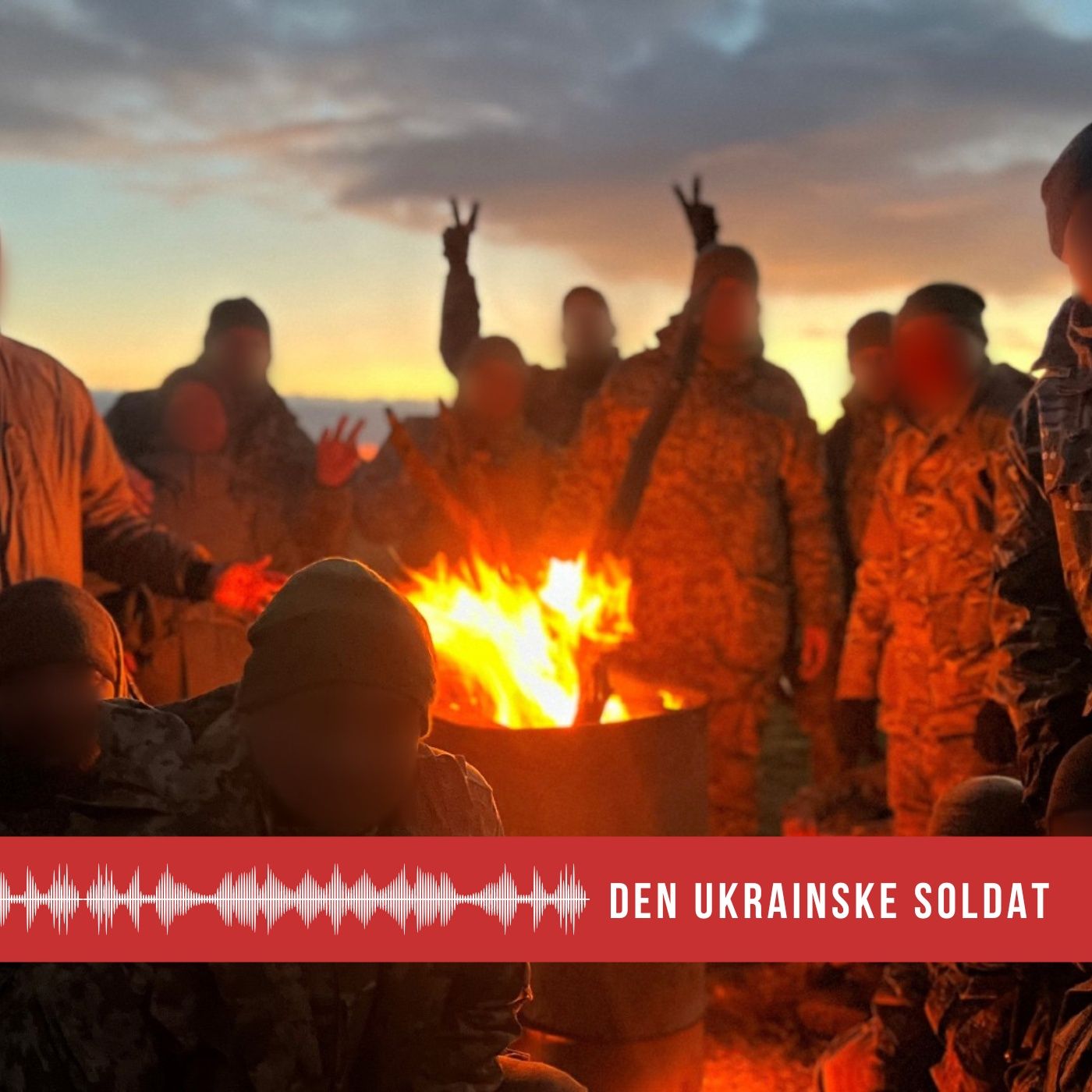 Udsendt Af Danmark