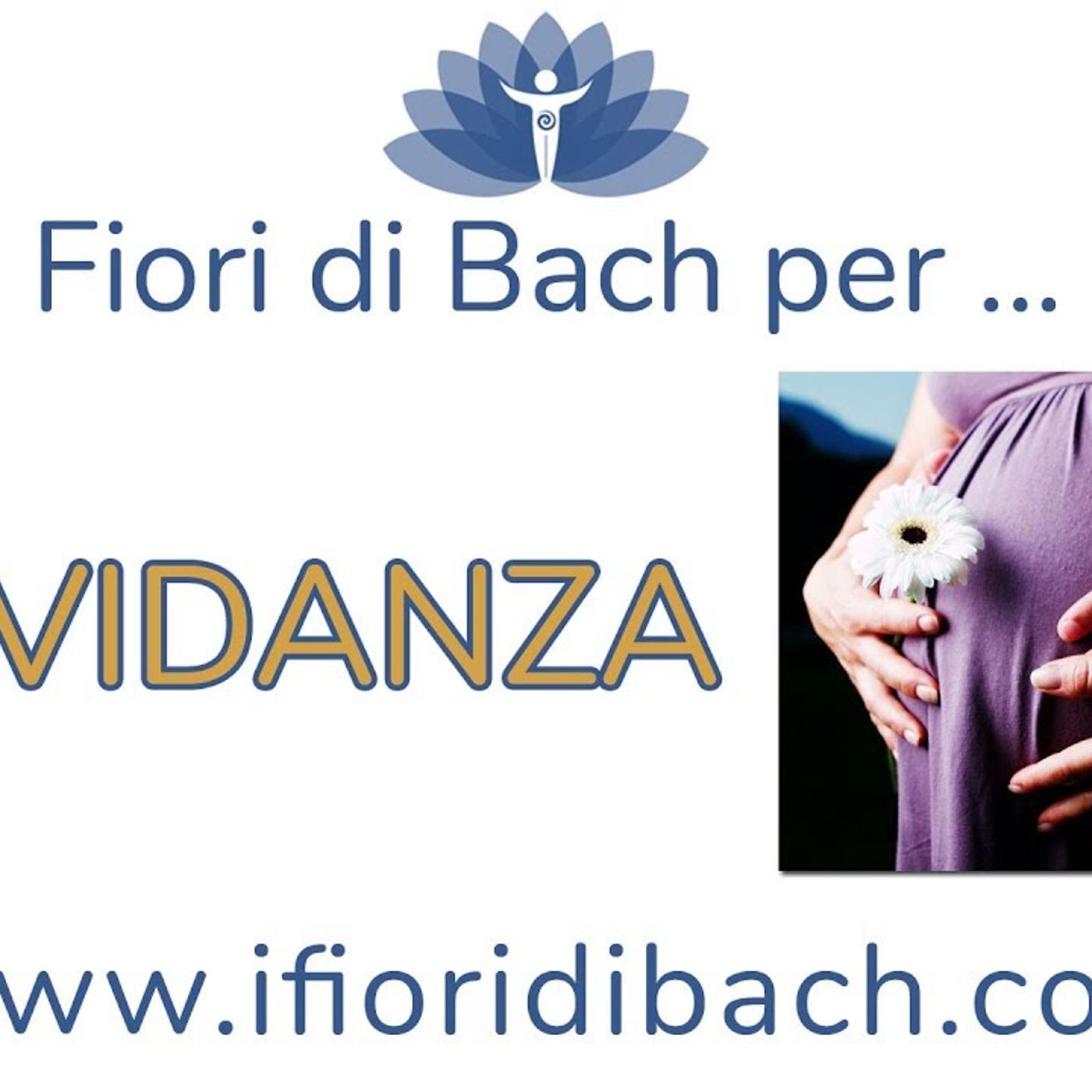 Fiori di Bach per gravidanza episode artwork