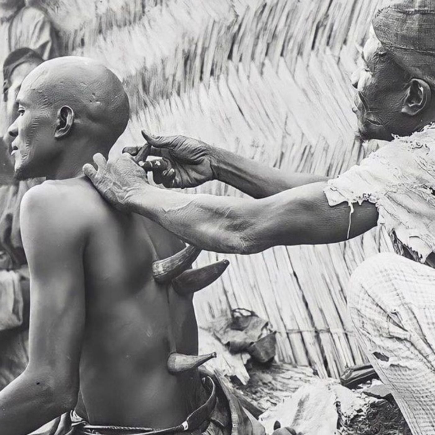 Entretien avec Oumarou Souley, tradipraticien sur une tradition nigérienne le « KOHO » qui signifie corne en haoussa episode artwork