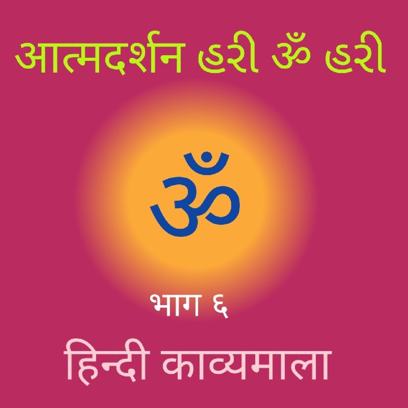 (६) हिन्दी काव्यमाला (६).mp3