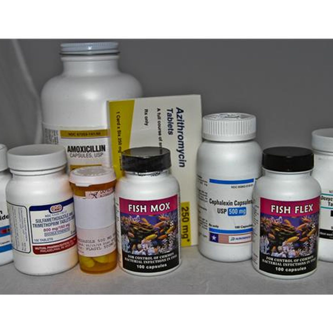 Survival Medicine Hour: Metronidazole, Herbal Healing, More