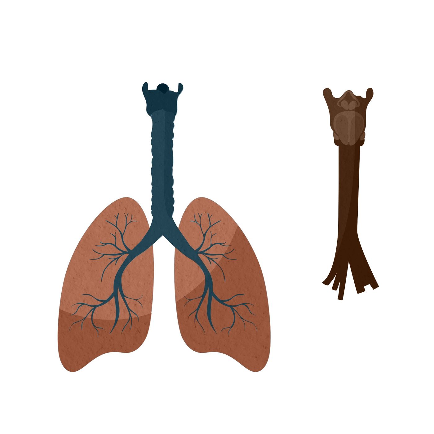 Un nuevo reto. Mejorar las condiciones de los hospitales y de los enfermos