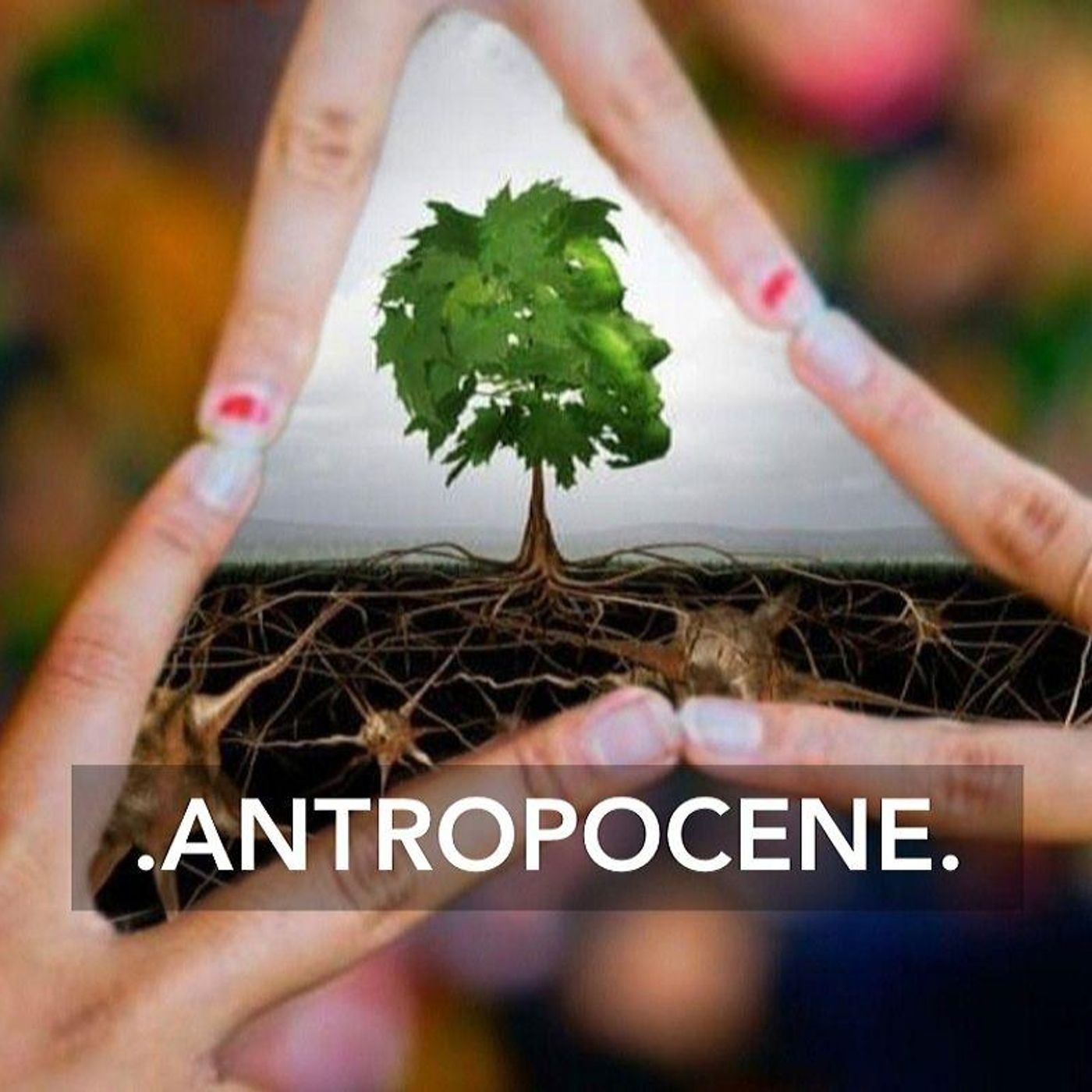 Antropocene
