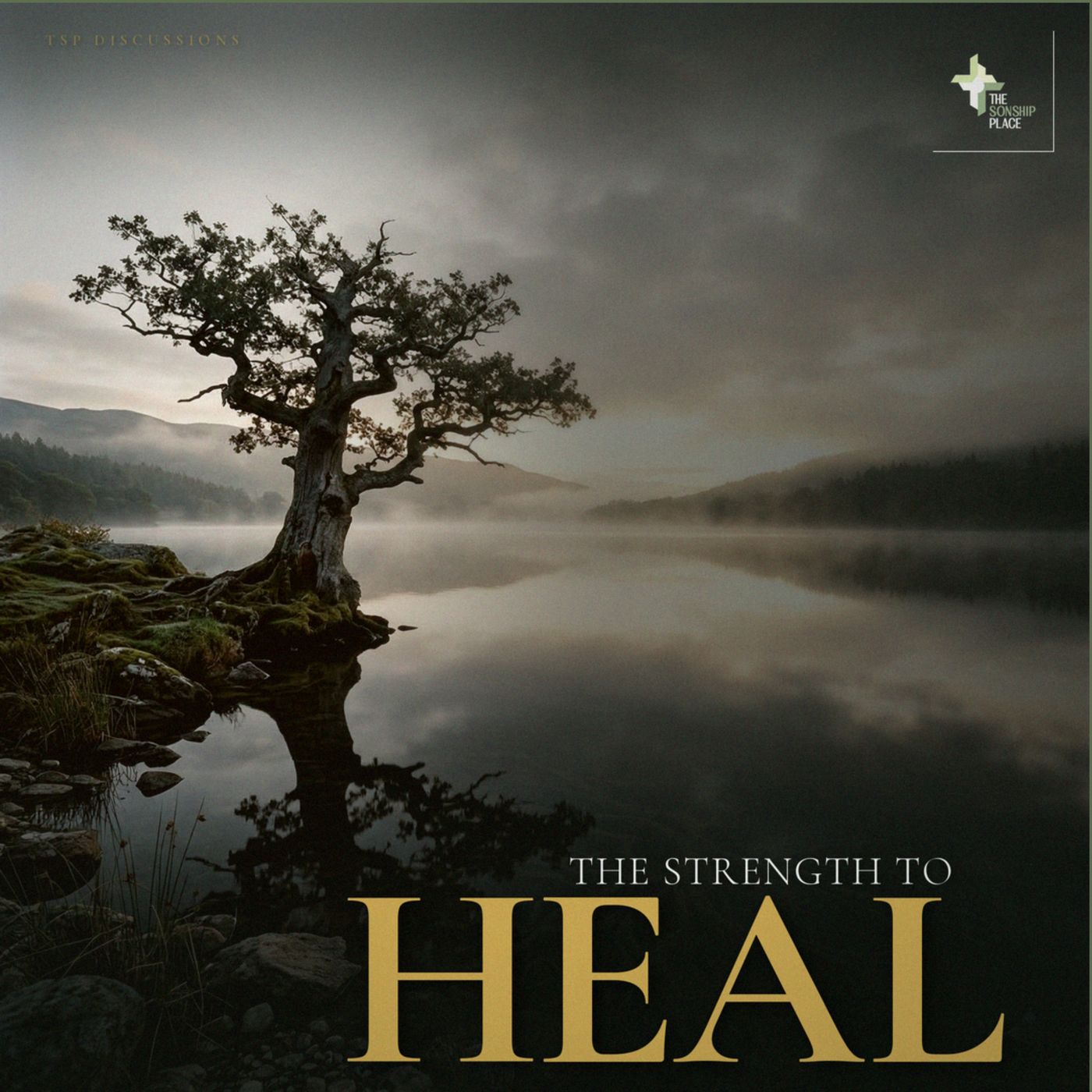 The Strength to Heal | TSP Discussions episode artwork