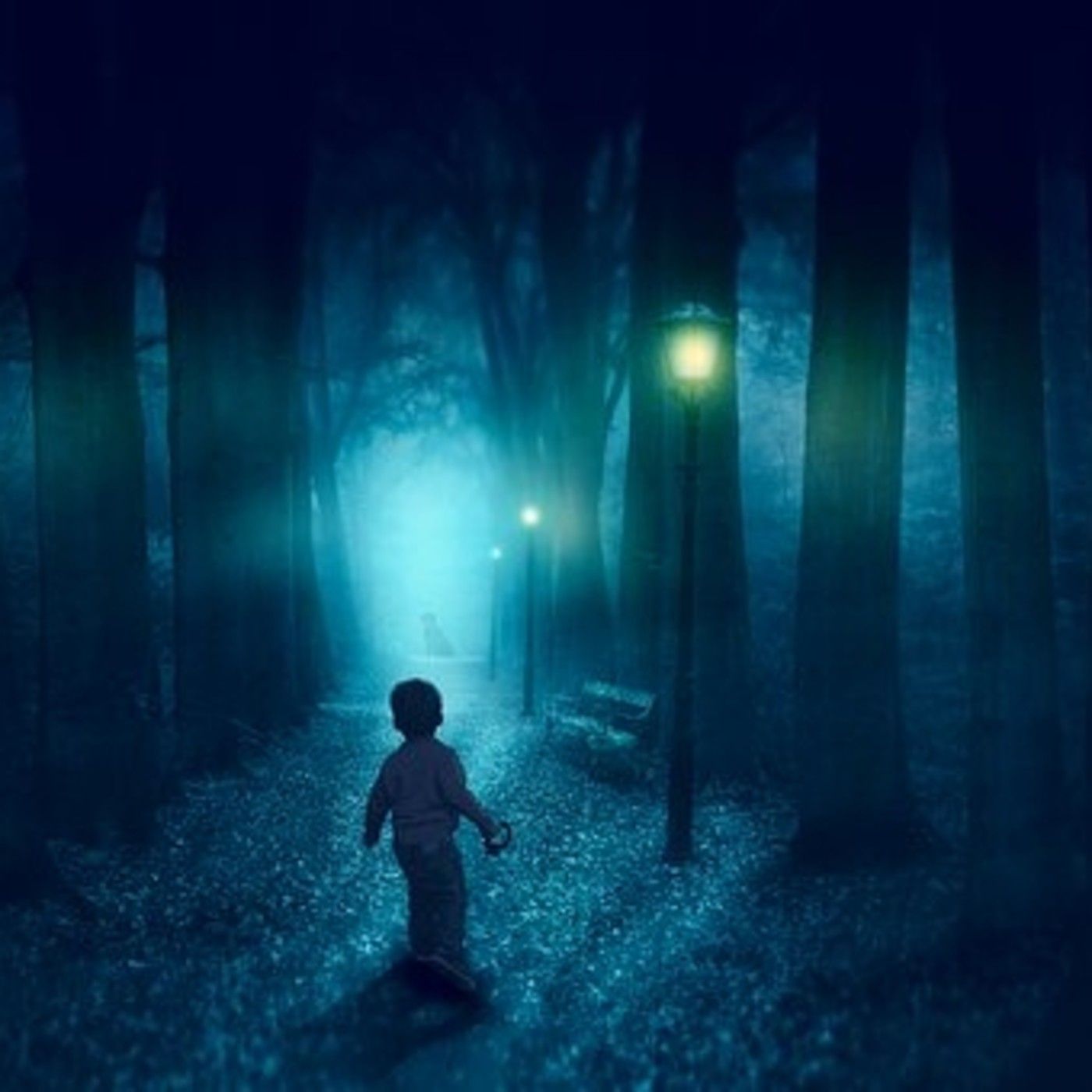 Historias de Miedo Julio 8 2021 EL NIÑO QUE VIO ALGO