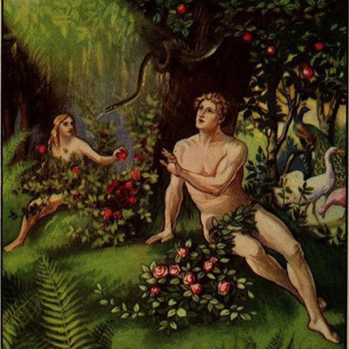 ADAN Y EVA episode artwork