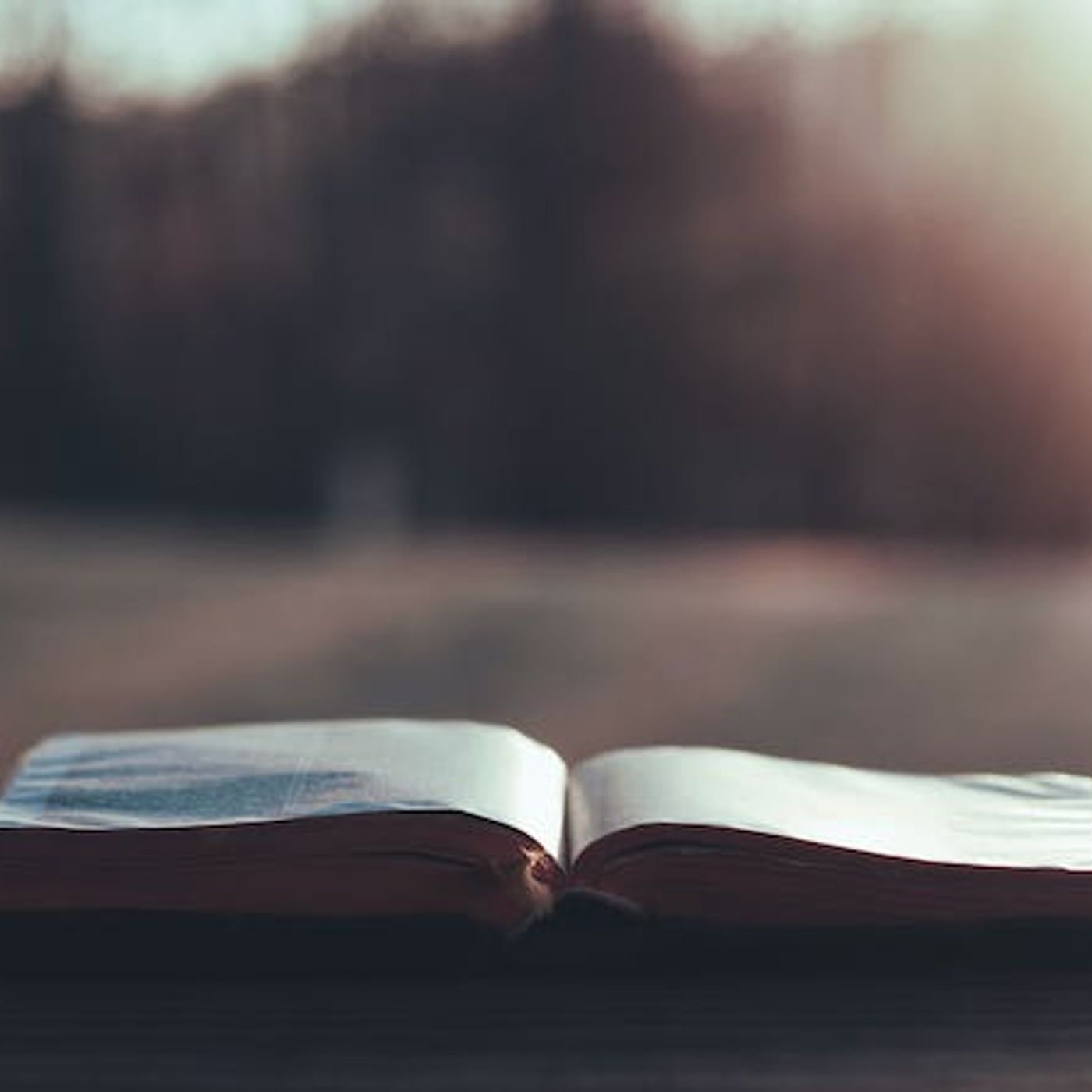 Ten Reasons to Read the Bible Every Day