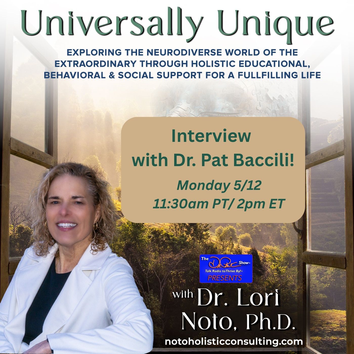 Interview with Dr. Pat Baccili episode artwork