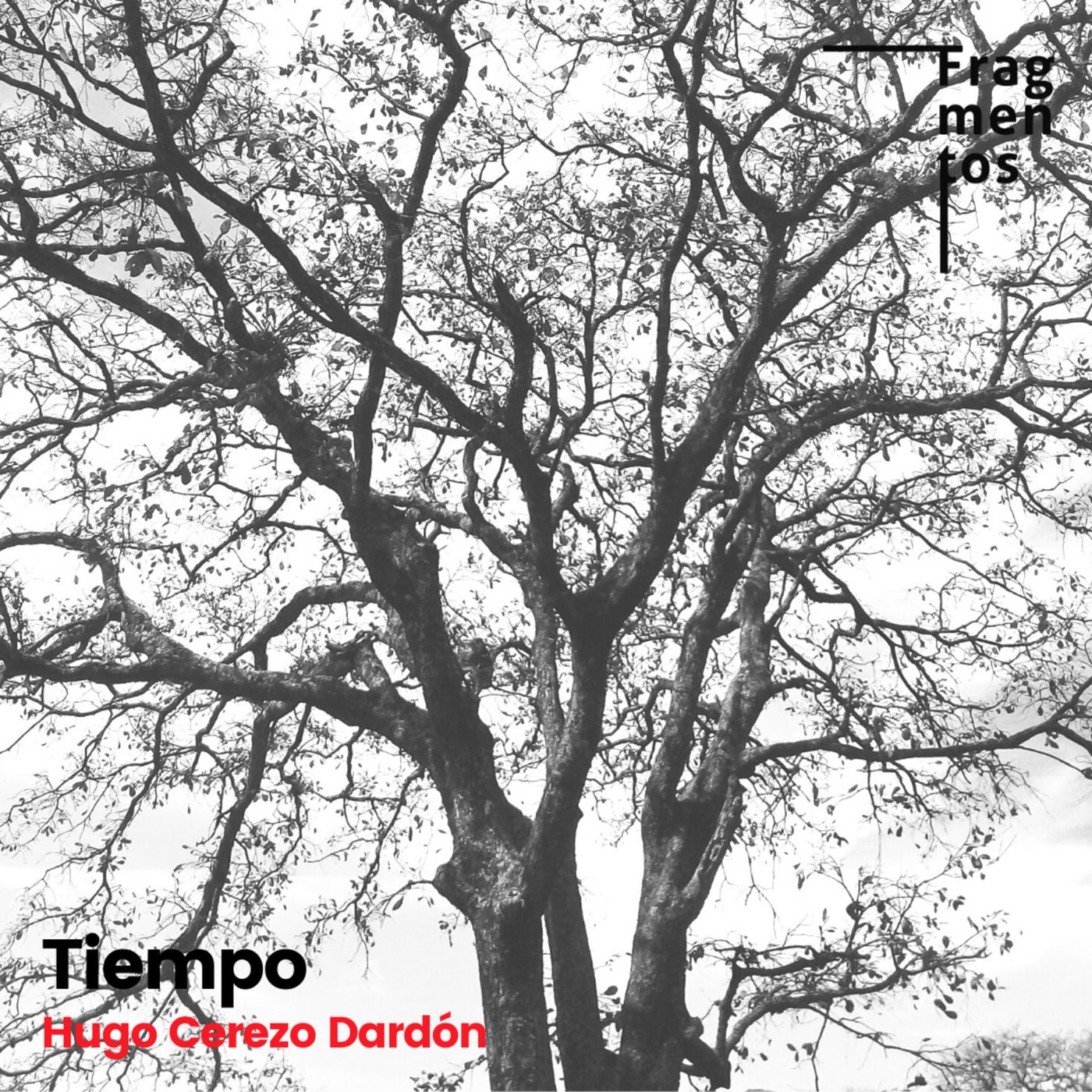 Fragmentos de Poesía
