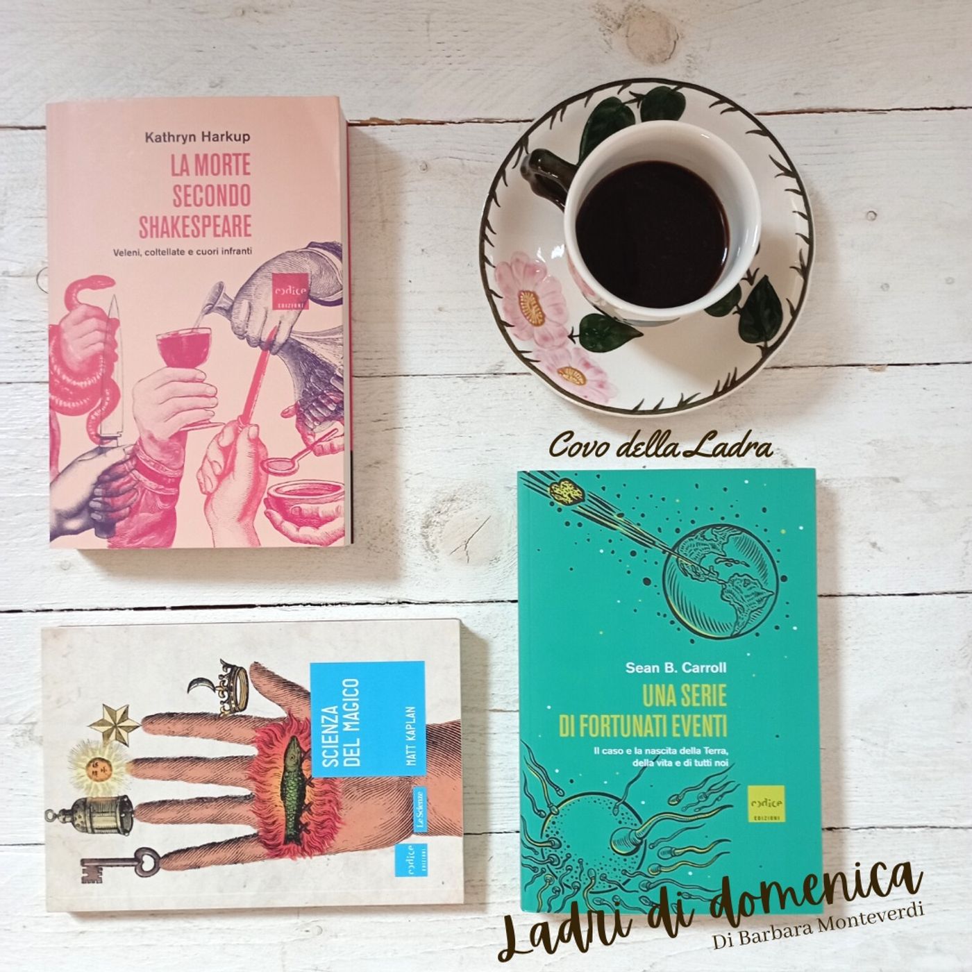 Ladri di Domenica