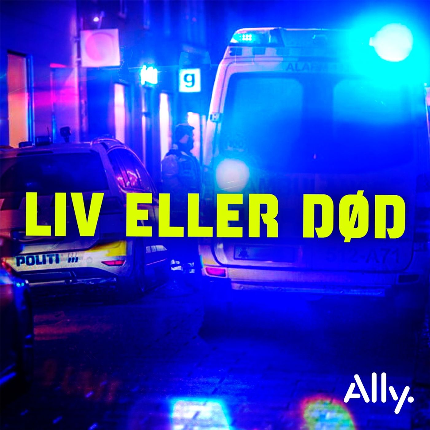 Indsatslederen: Ansigt til ansigt med 20.000 demonstranter