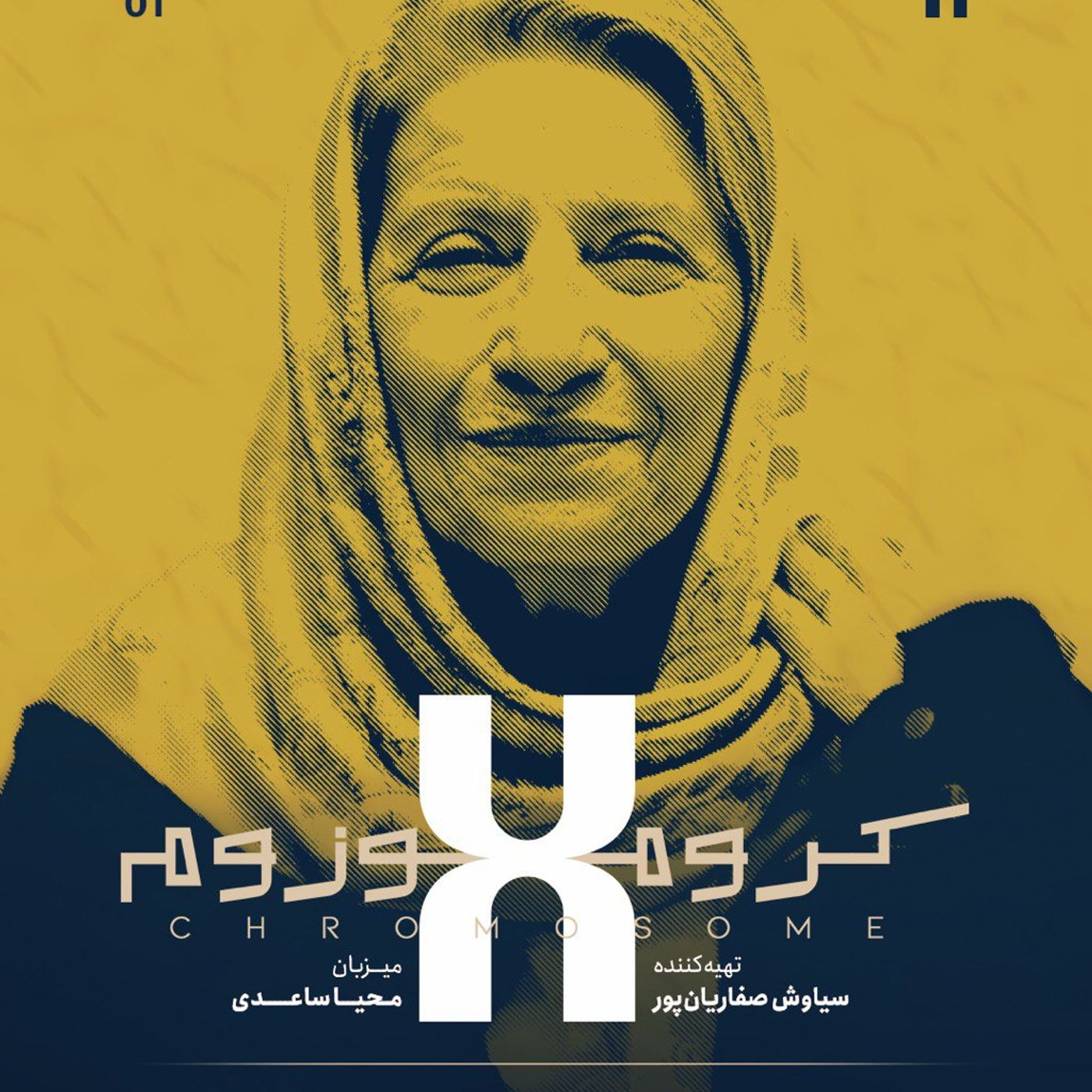 کروموزوم ایکس ۱: احترام برومند