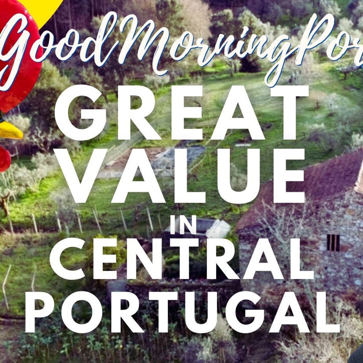 FIVE Years in Central Portugal Real Estate - What's Been Learned? Rees Report - May 2025 #realestate #portugal