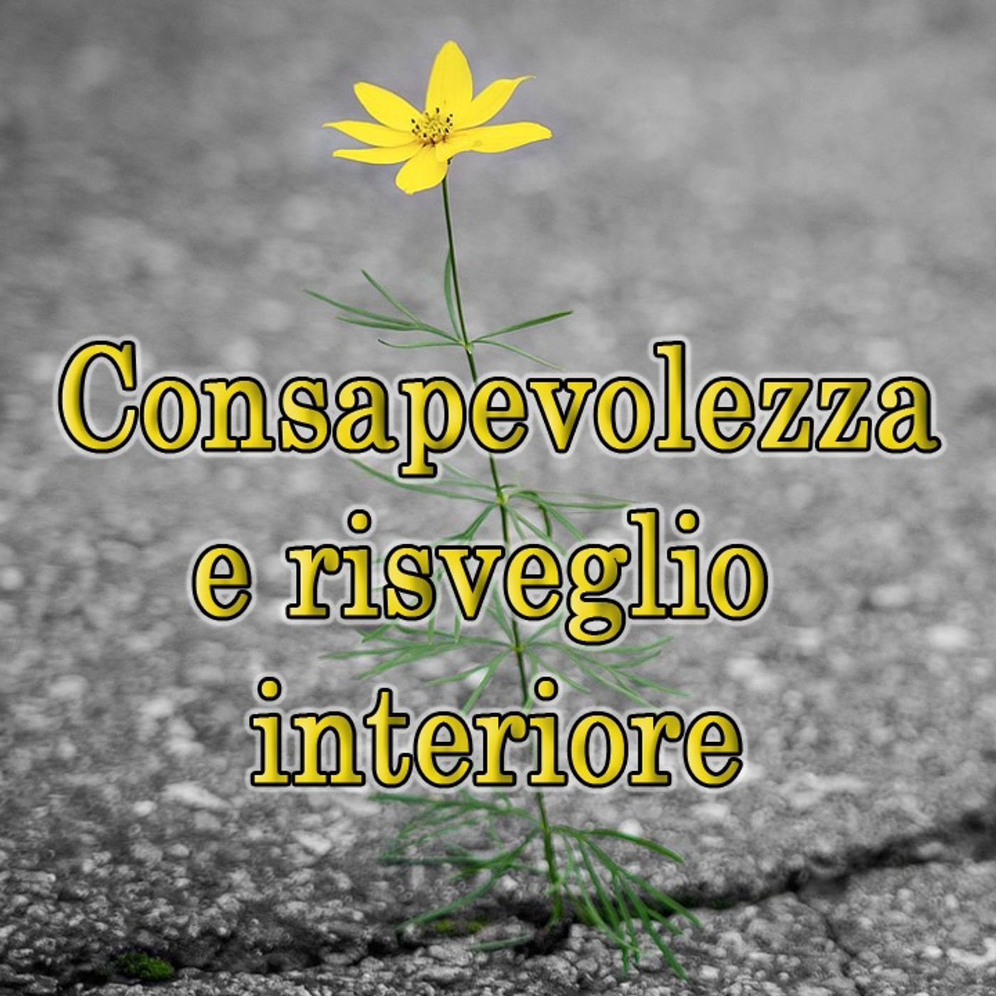 Corpo, Mente e Spirito