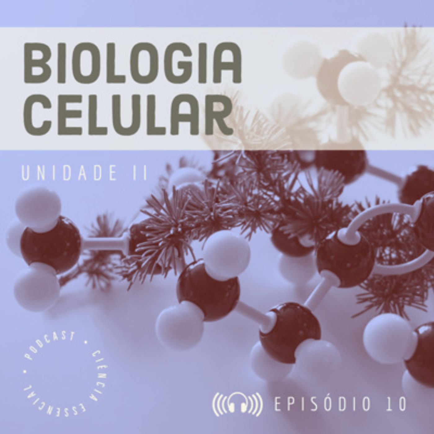 Ciência Essencial