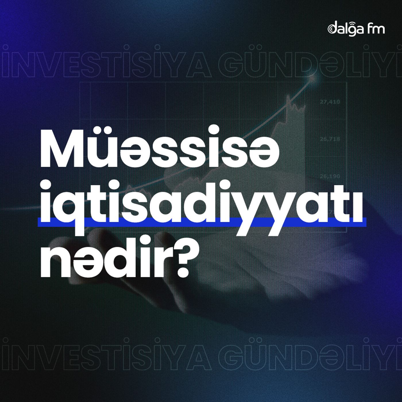 Müəssisə iqtisadiyyatı nədir? I İnvestisiya gündəliyi #17 episode artwork