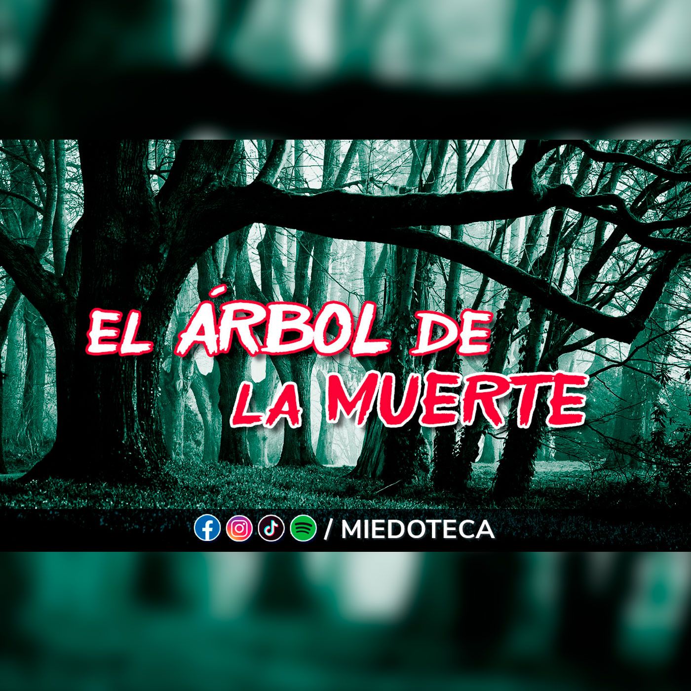 Miedoteca