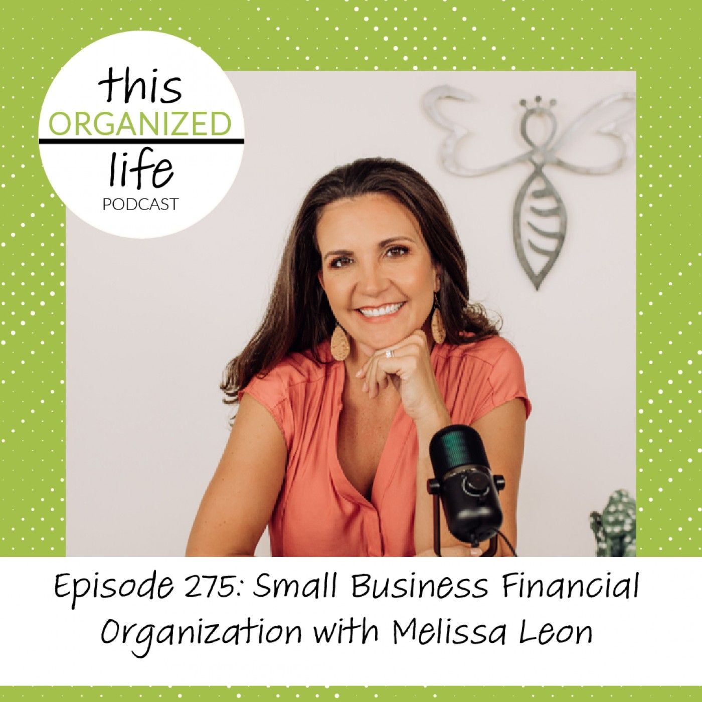 This Organized Life: Decluttering Tips for Moms, Entrepreneurs and Professional Organizers