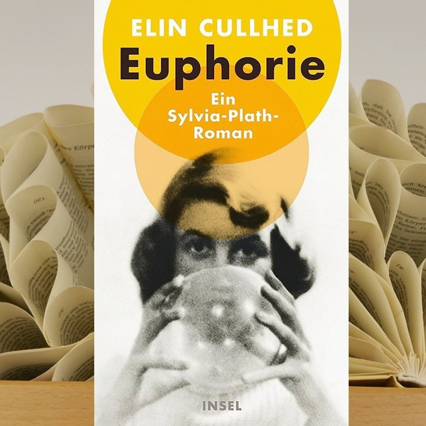 29.08. Elin Cullhed - Euphorie. Ein Sylvia-Plath-Roman (Benita Hanke) episode artwork