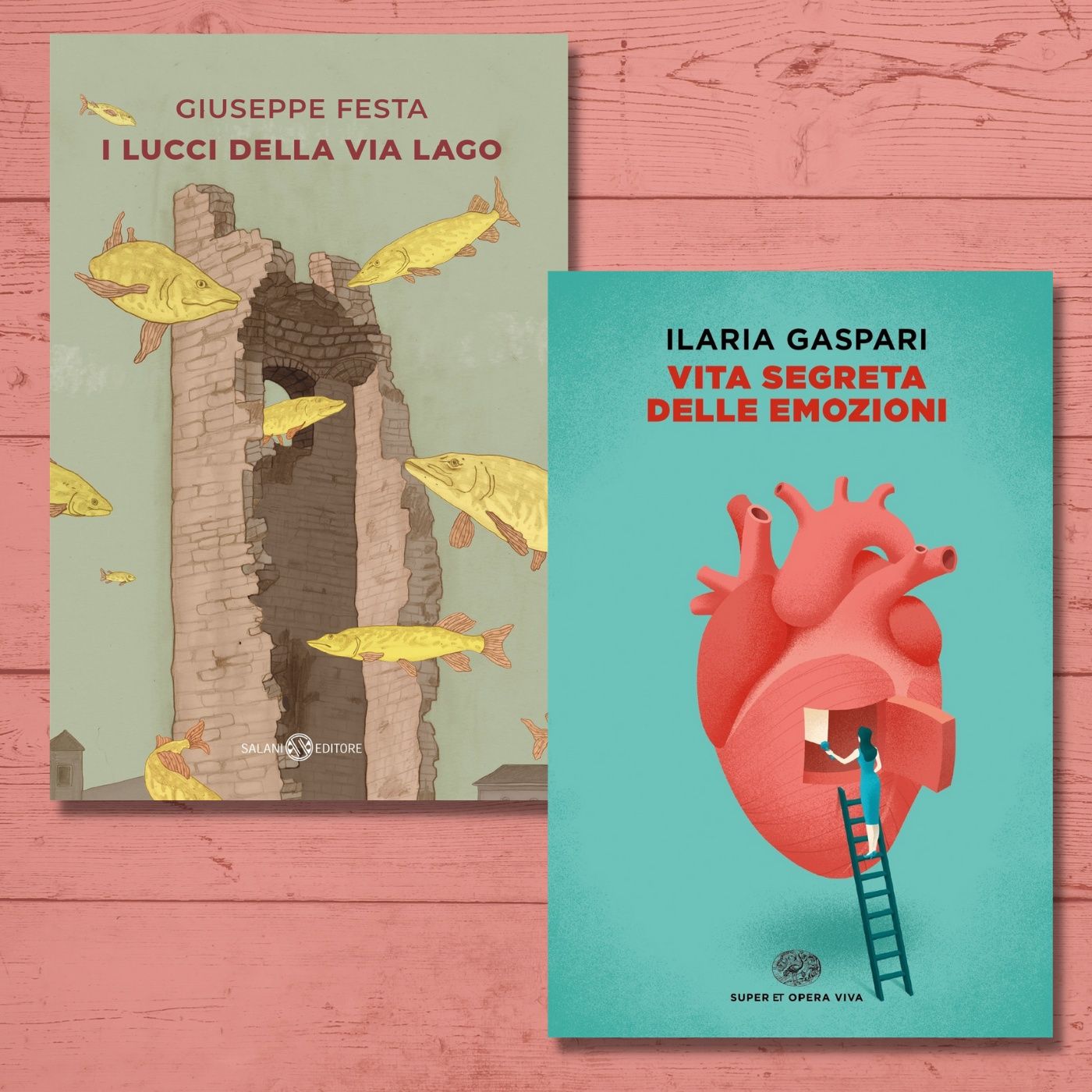 Archivio: Bookblister