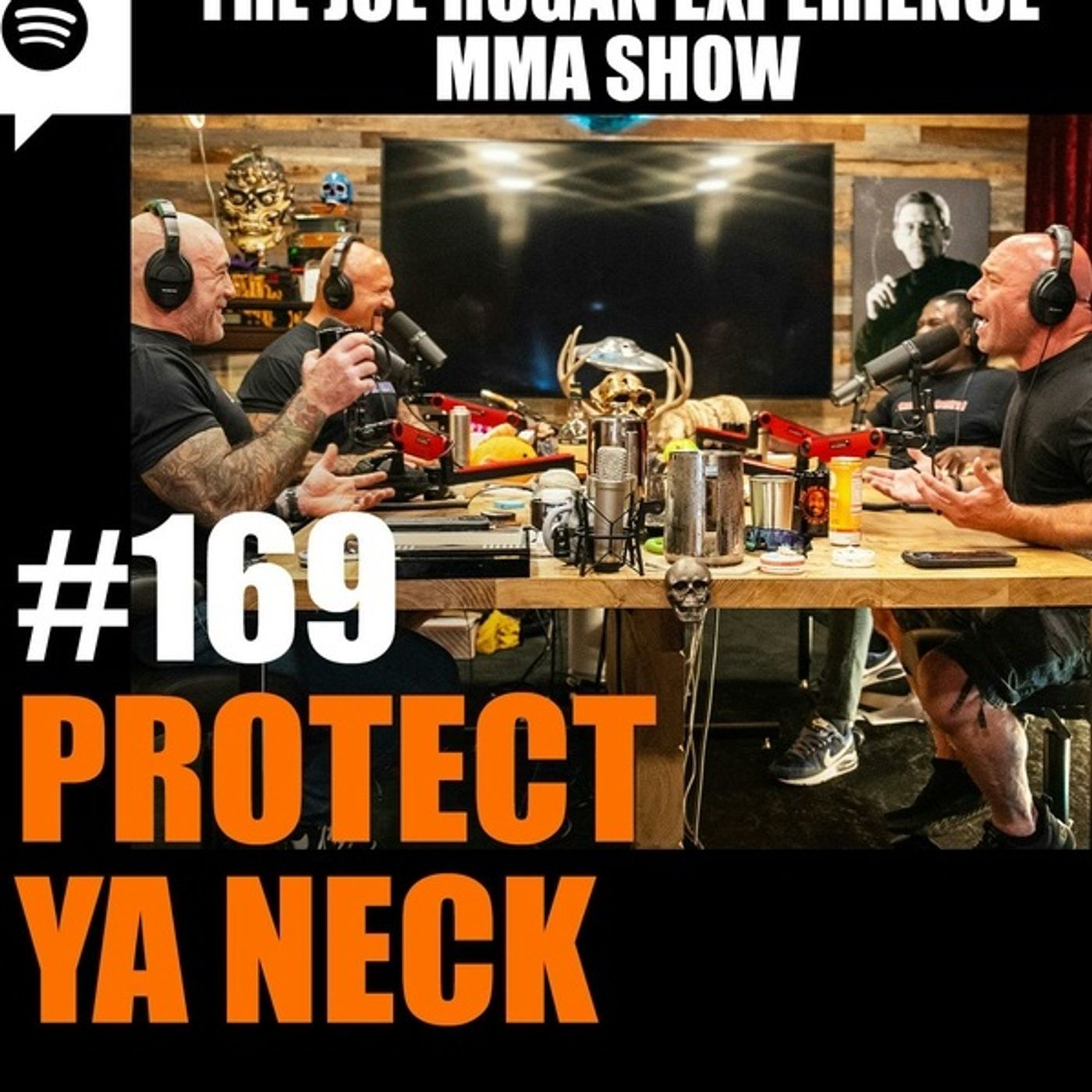 JRE MMA Show _169 - Protect Ya Neck(M4A_128K)