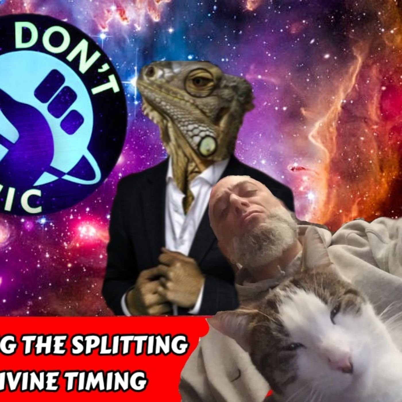 Don't Panic! - Navigating The Splitting Consciousness - In Divine Timing | Frank Castle