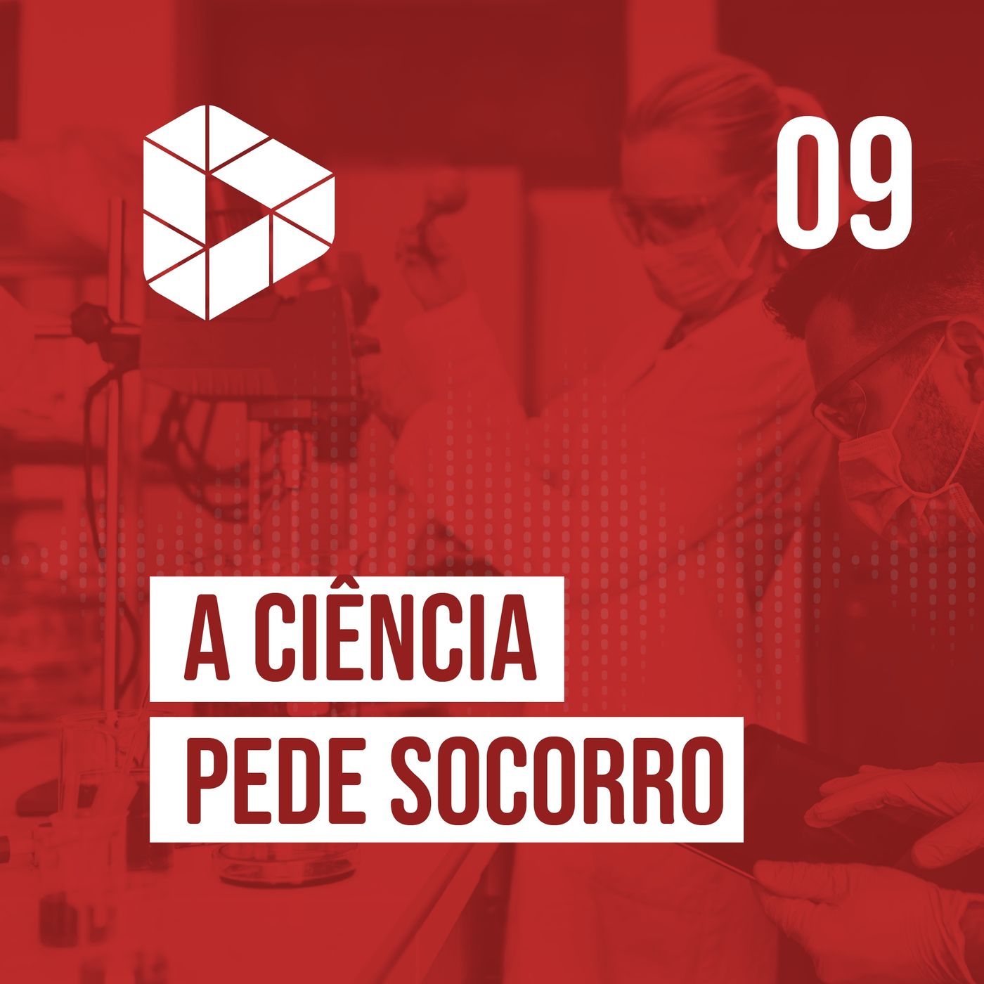 Educação Superior em Pauta