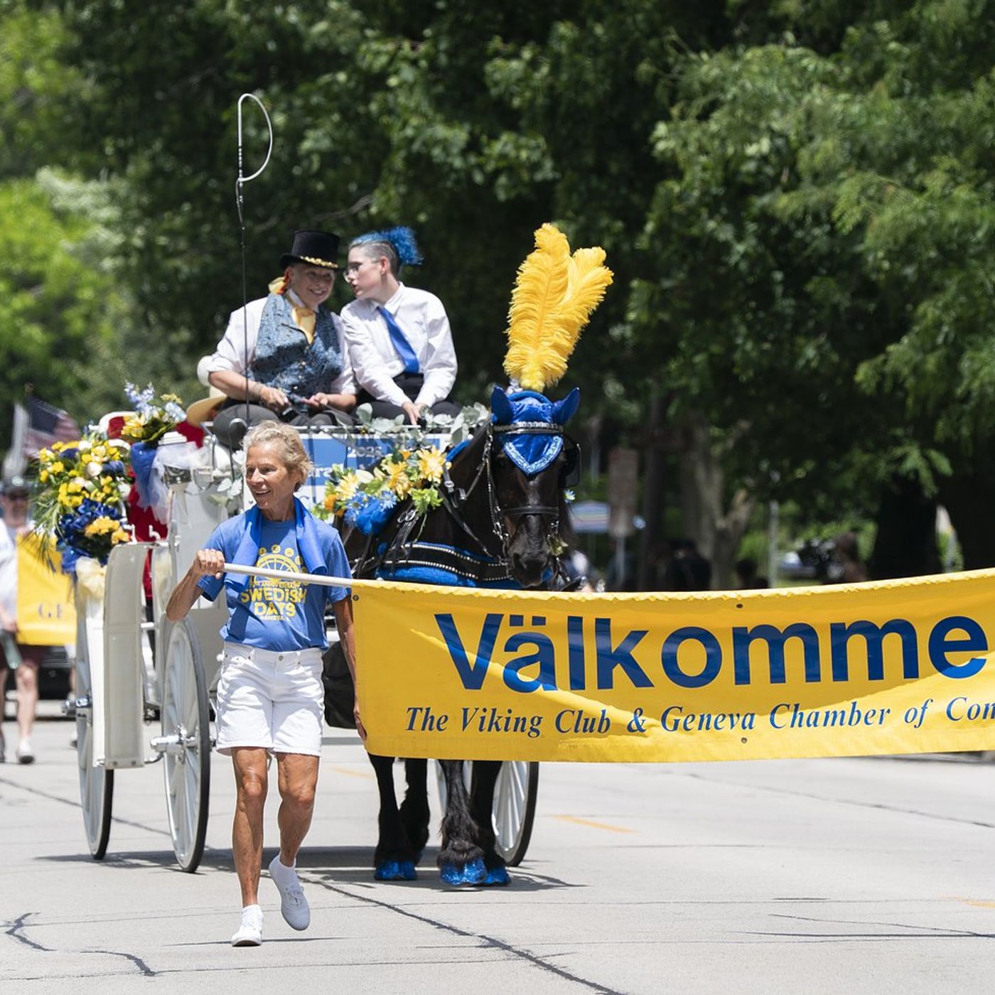 Geneva Chamber president: ‘I do not intend to cancel Swedish Days’ episode artwork
