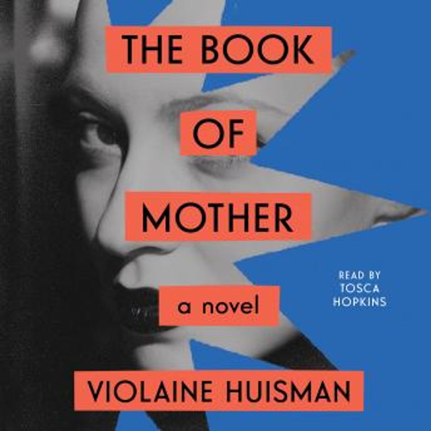 Download Incredible Full Audiobooks in Fiction, Contemporary Women
