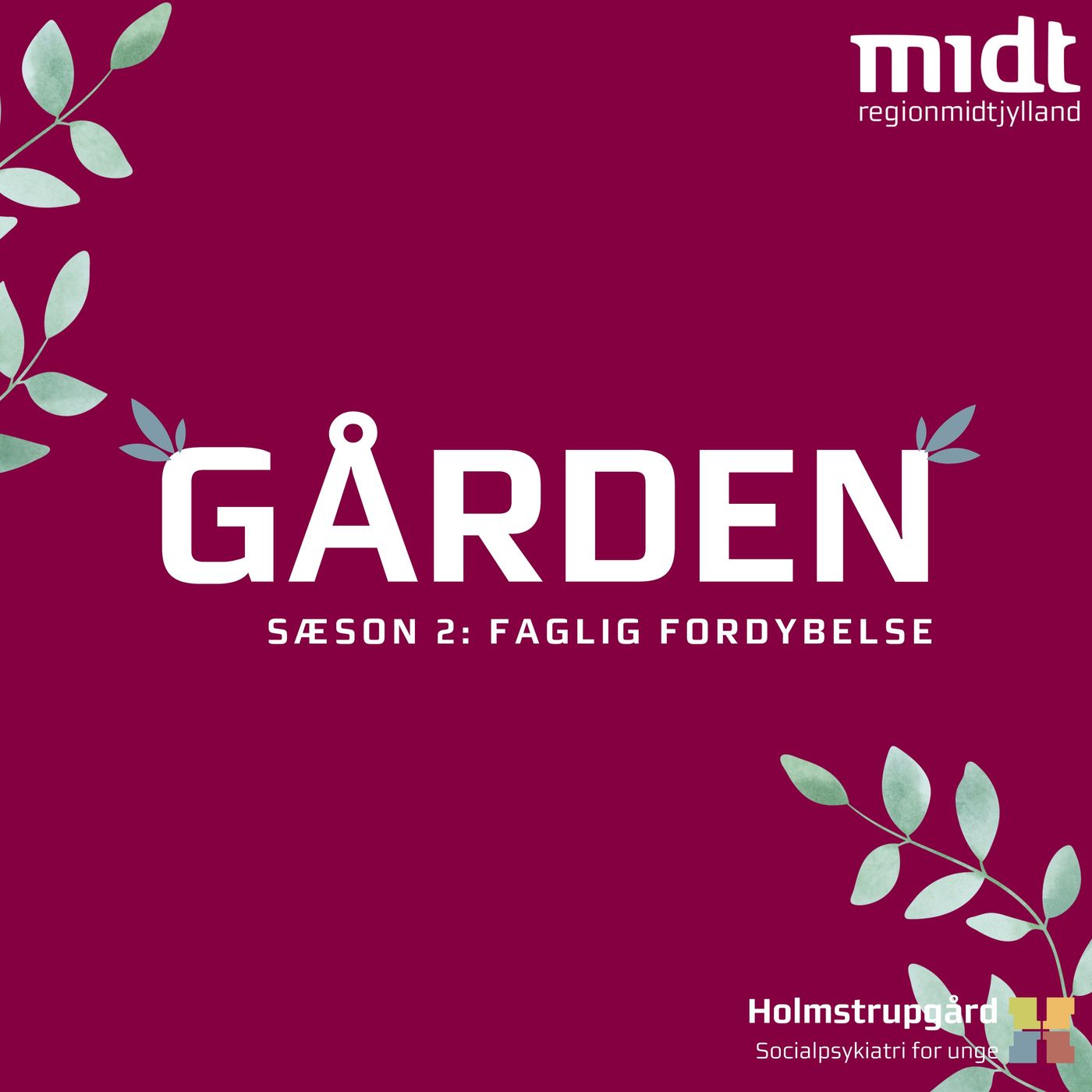 De interne skoler (Faglig fordybelse #1)