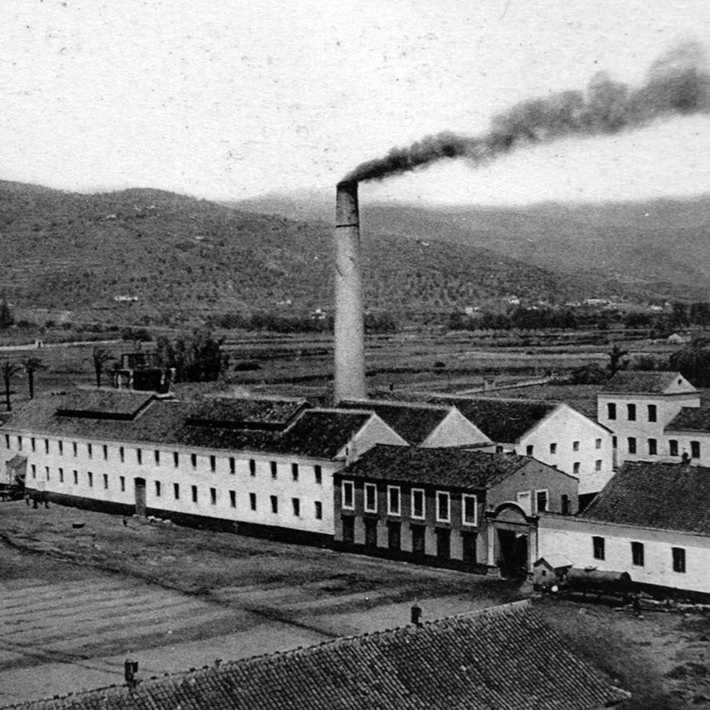 Crónicas de San Pedro Alcántara