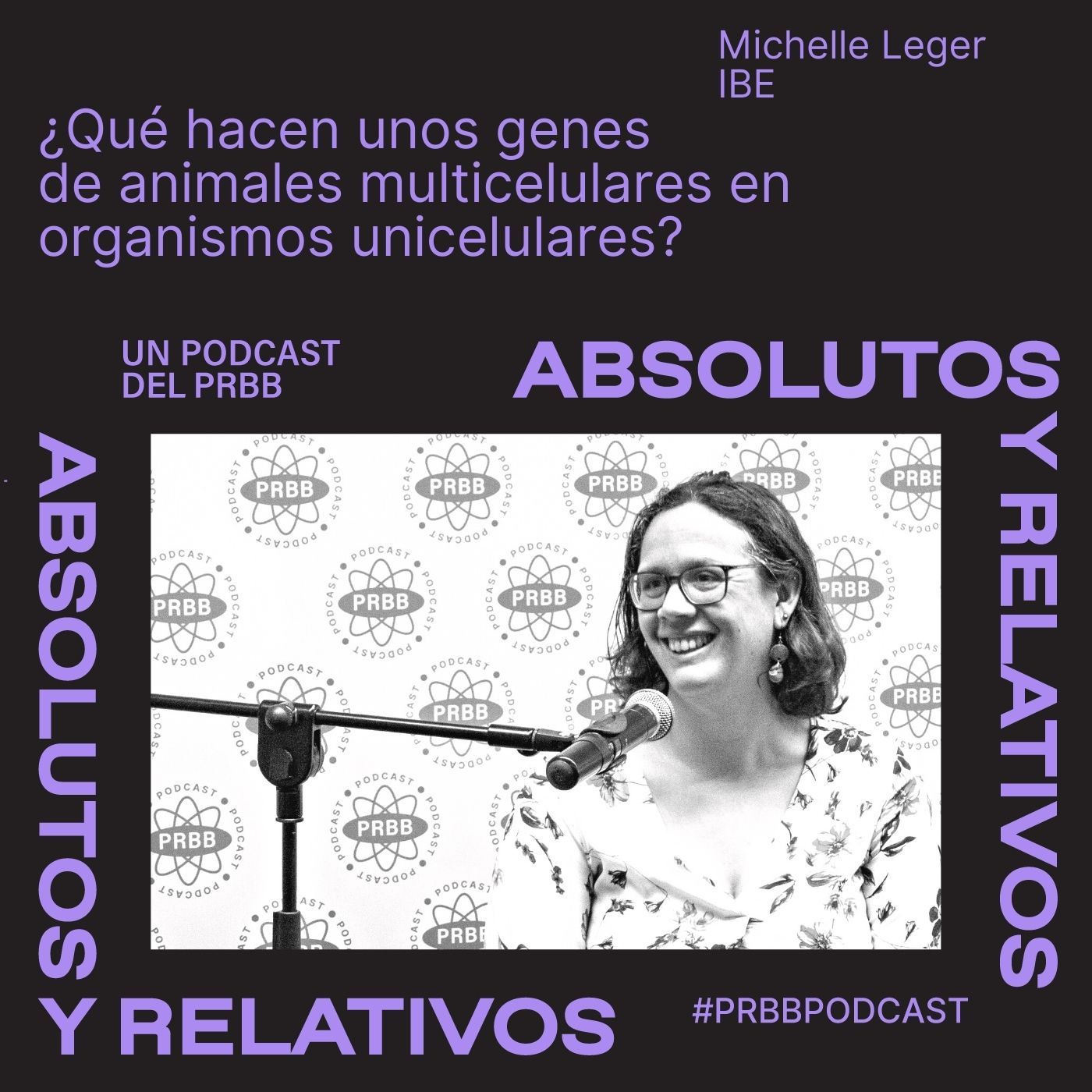 Absolutos y Relativos