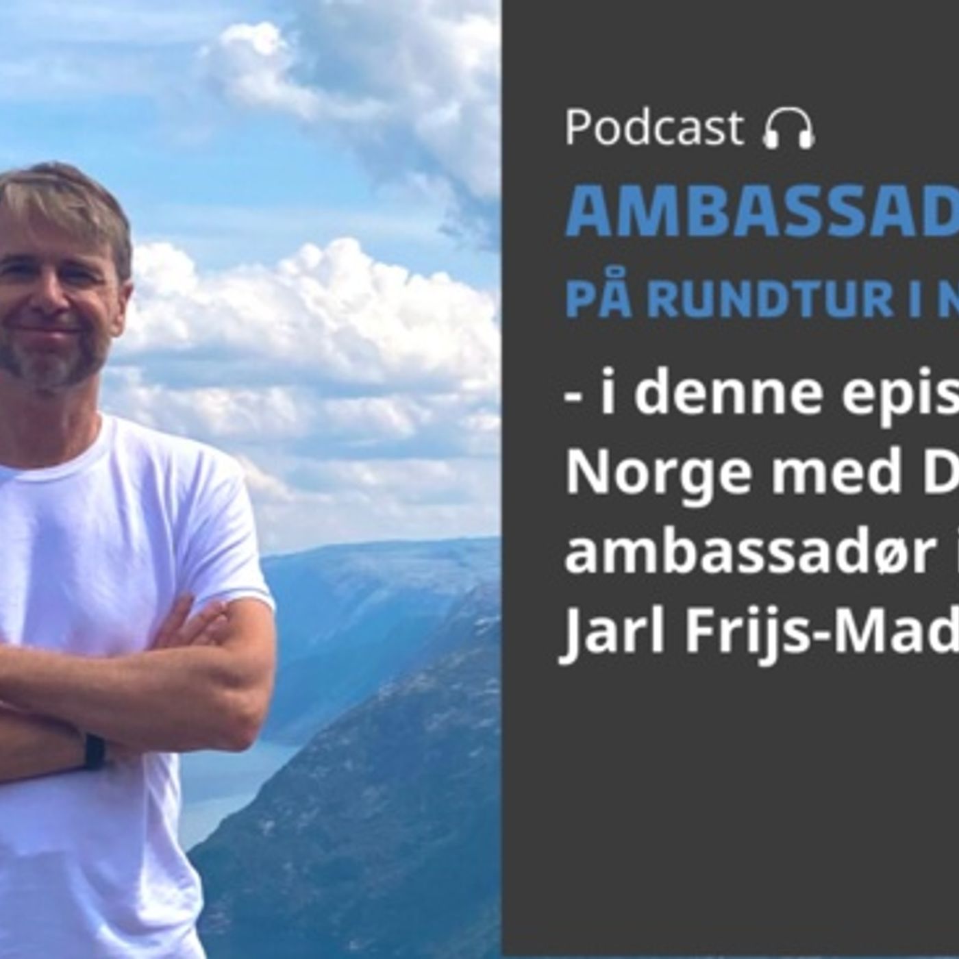 Ambassadørerne