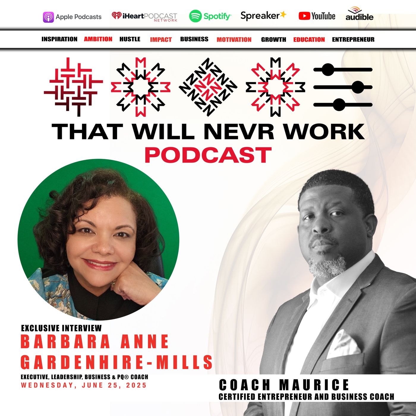 That Will Nevr Work Podcast