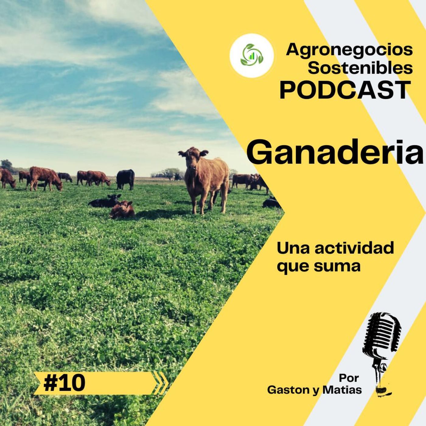 PENSANDO EL AGRO