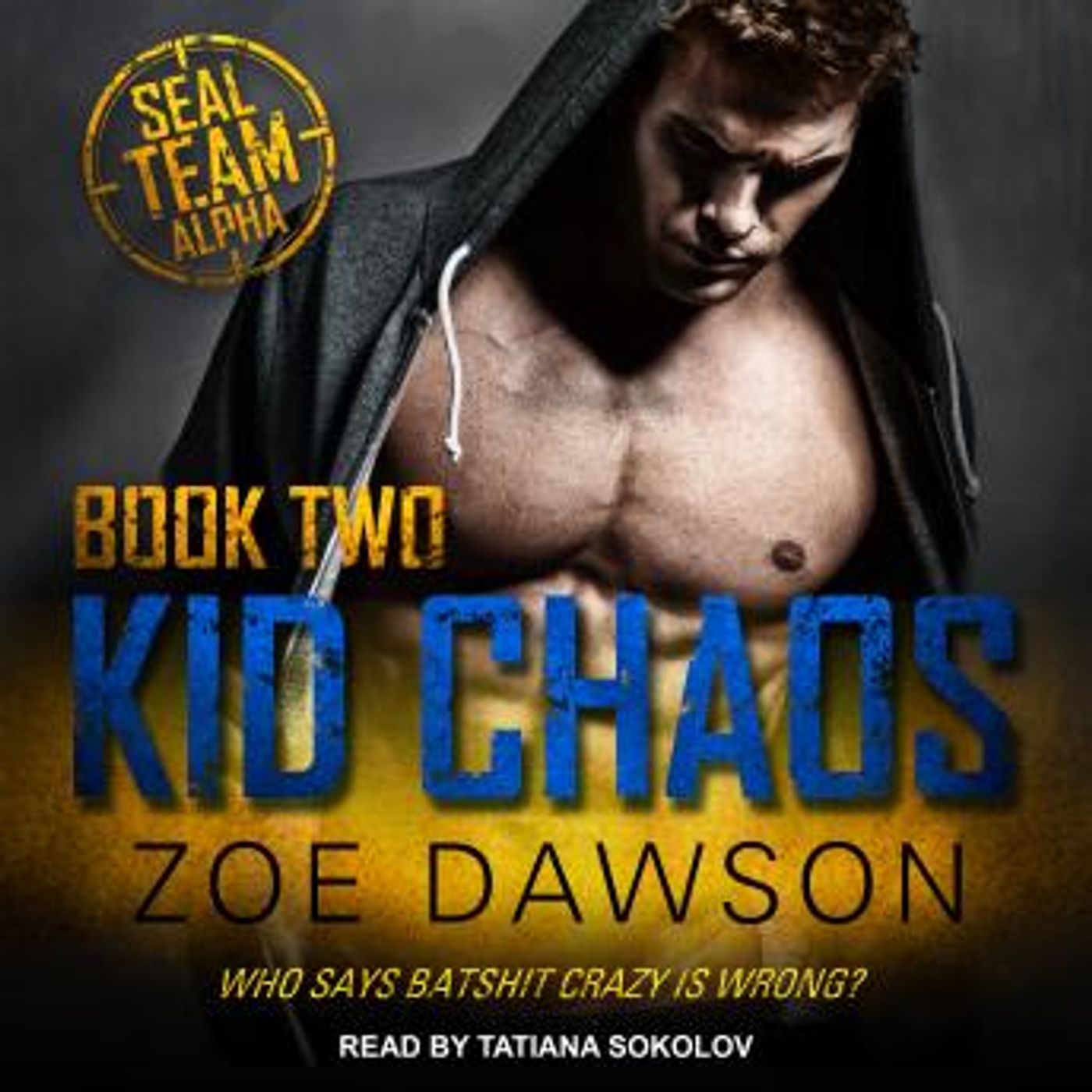 Download Latest Full Audiobooks in Romance, Modern