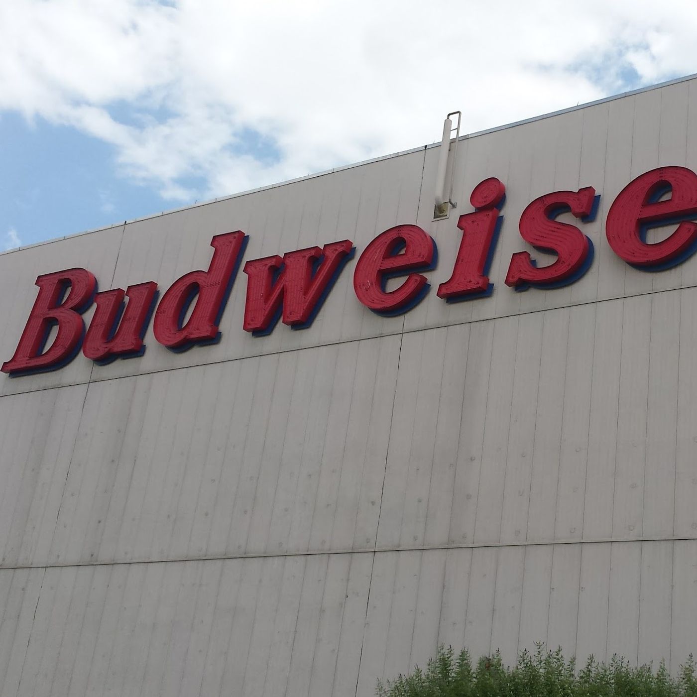 Budweiser Takes a Page from Willy Wonka's Marketing Book.