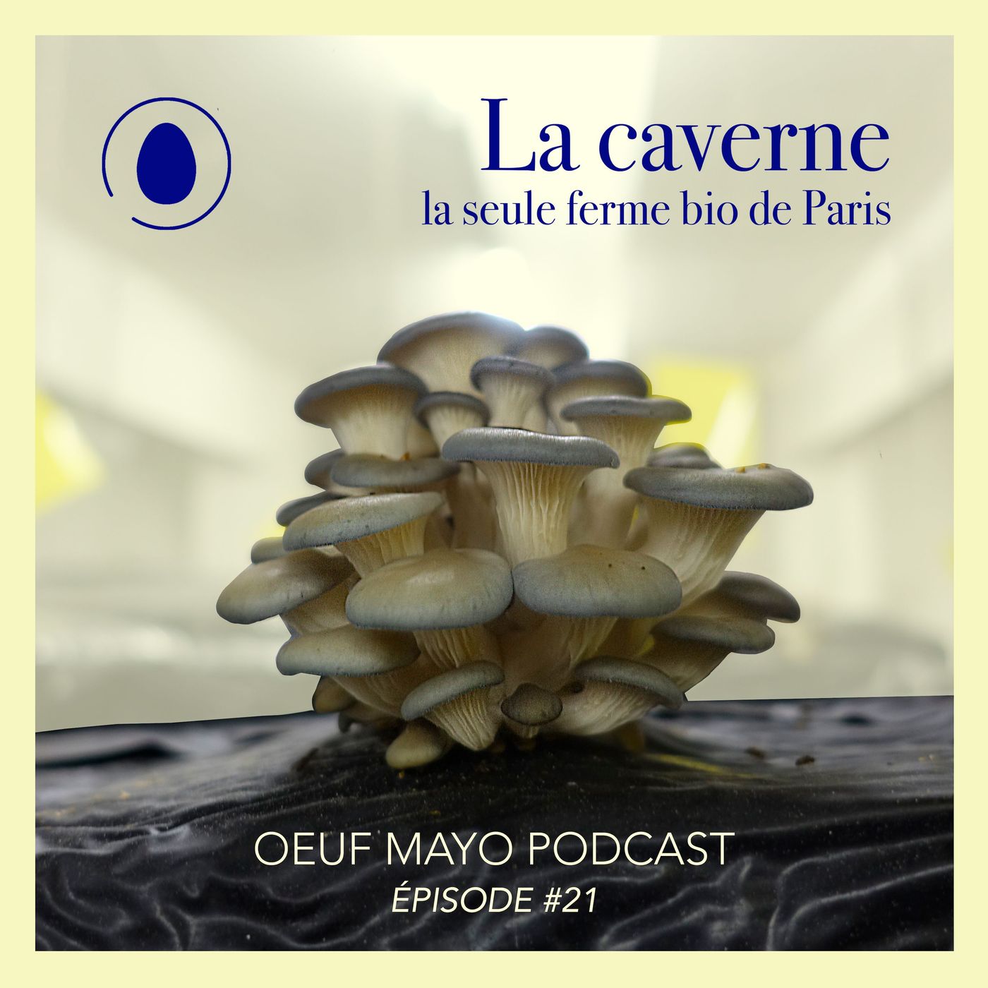 Oeuf Mayo Podcast