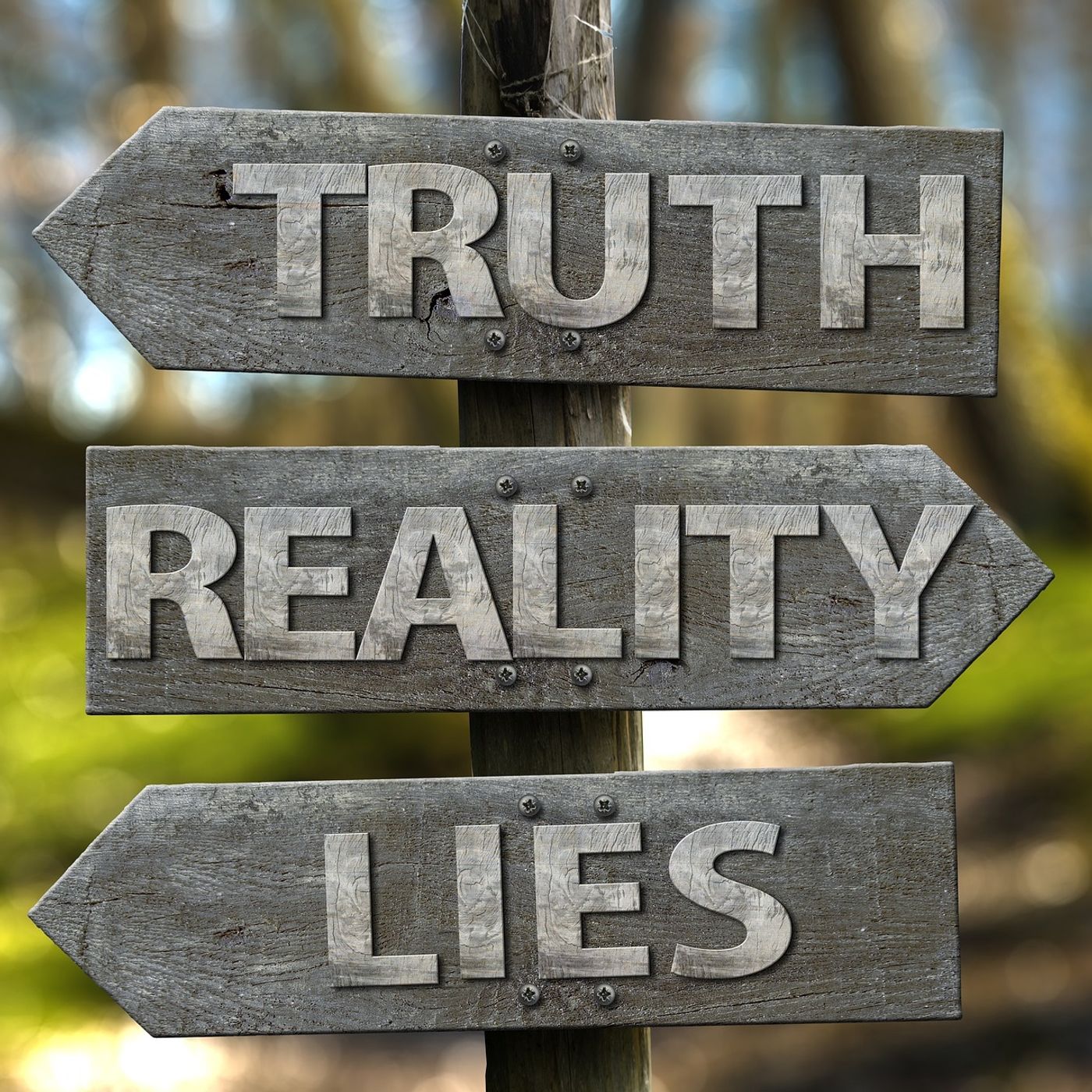 Episode 584 Common Sense Tells Us We've All Been Lied To